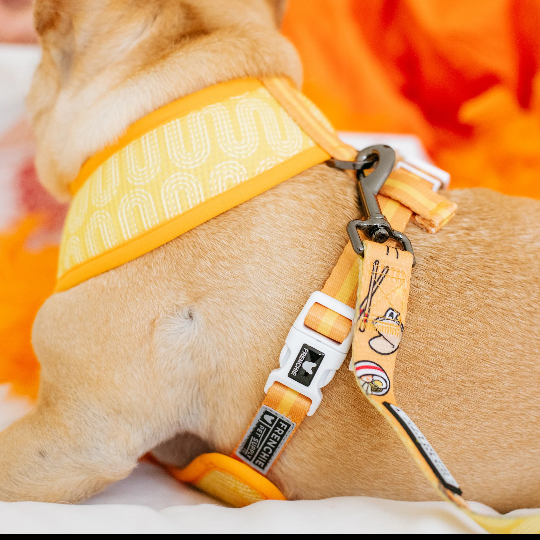 Frenchie Duo Reversible Harness - Frenchie Takeout - Image 12