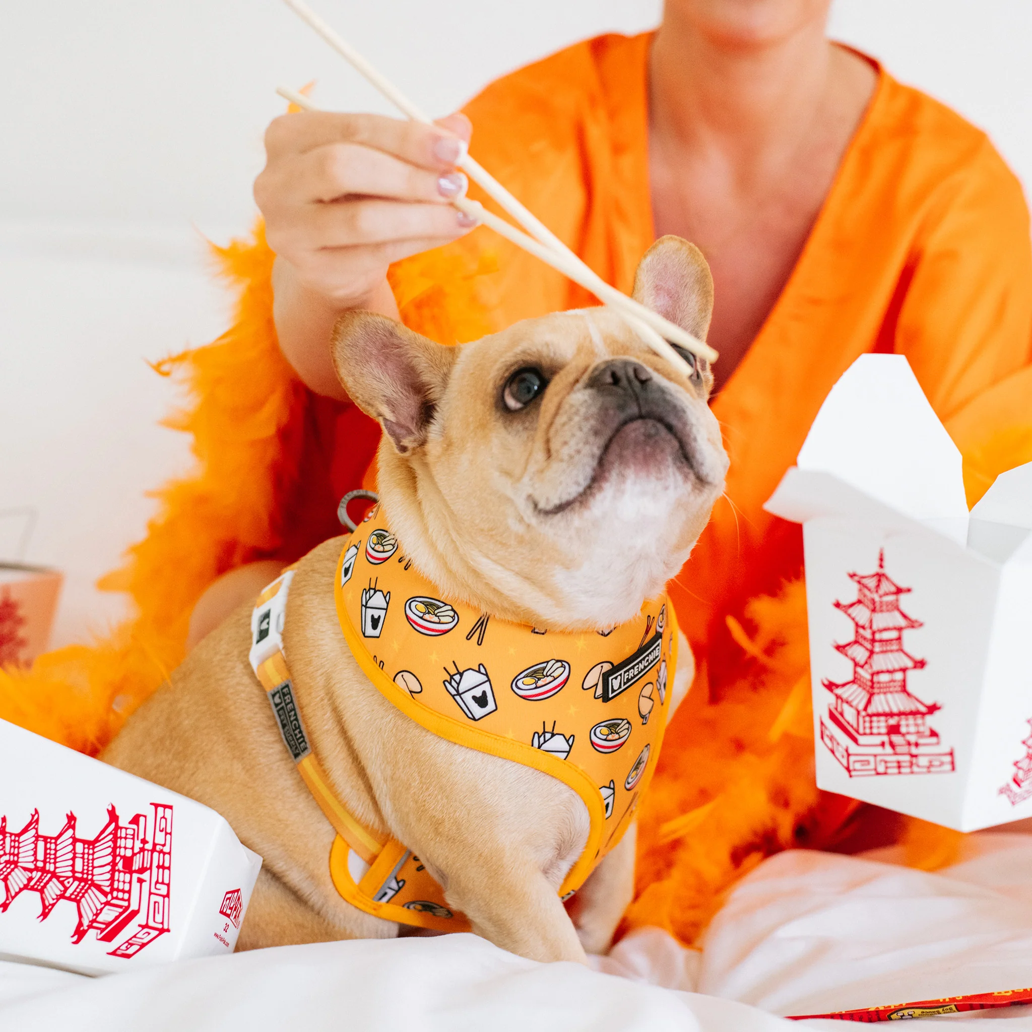 Frenchie Duo Reversible Harness - Frenchie Takeout - Image 2
