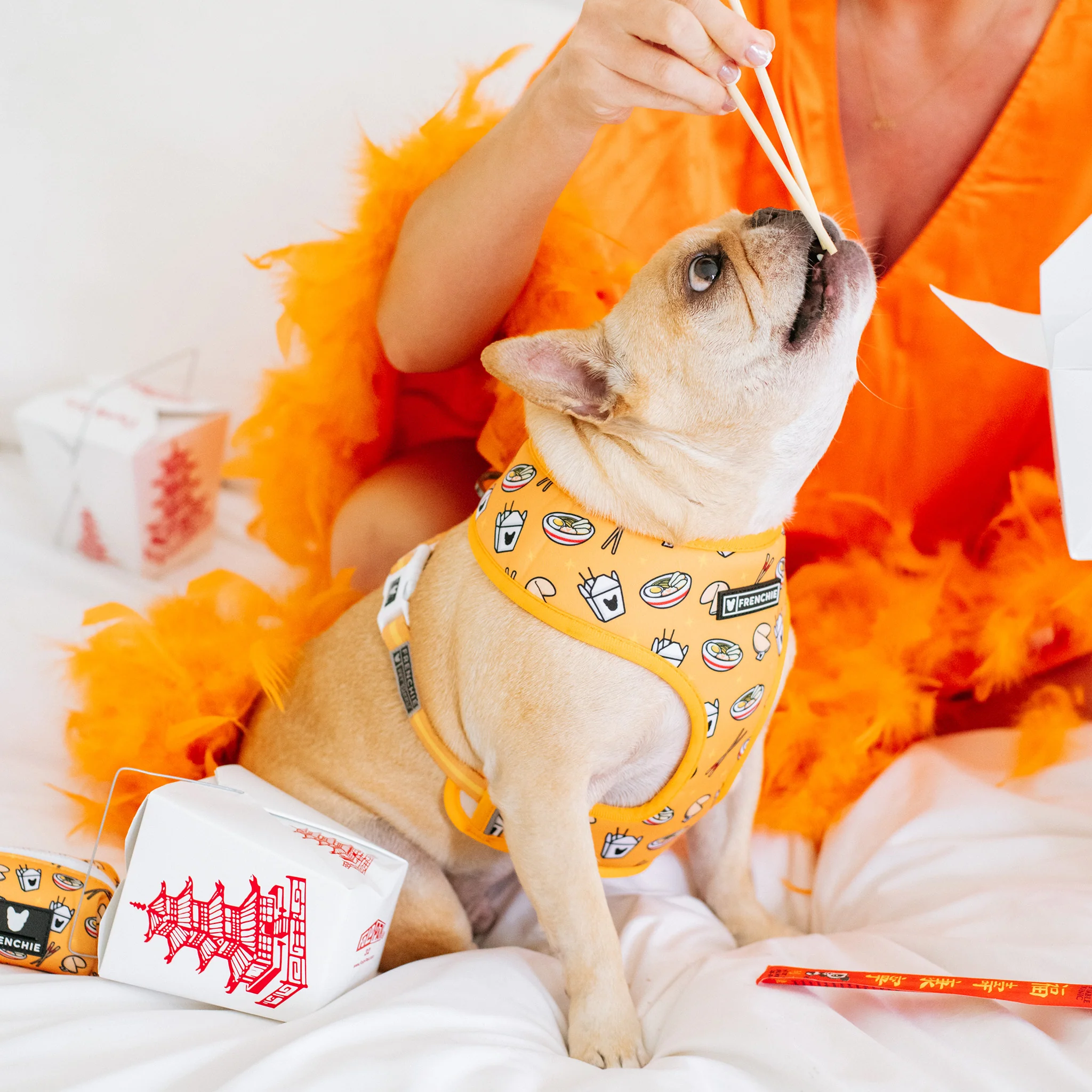 Frenchie Duo Reversible Harness - Frenchie Takeout - Image 3