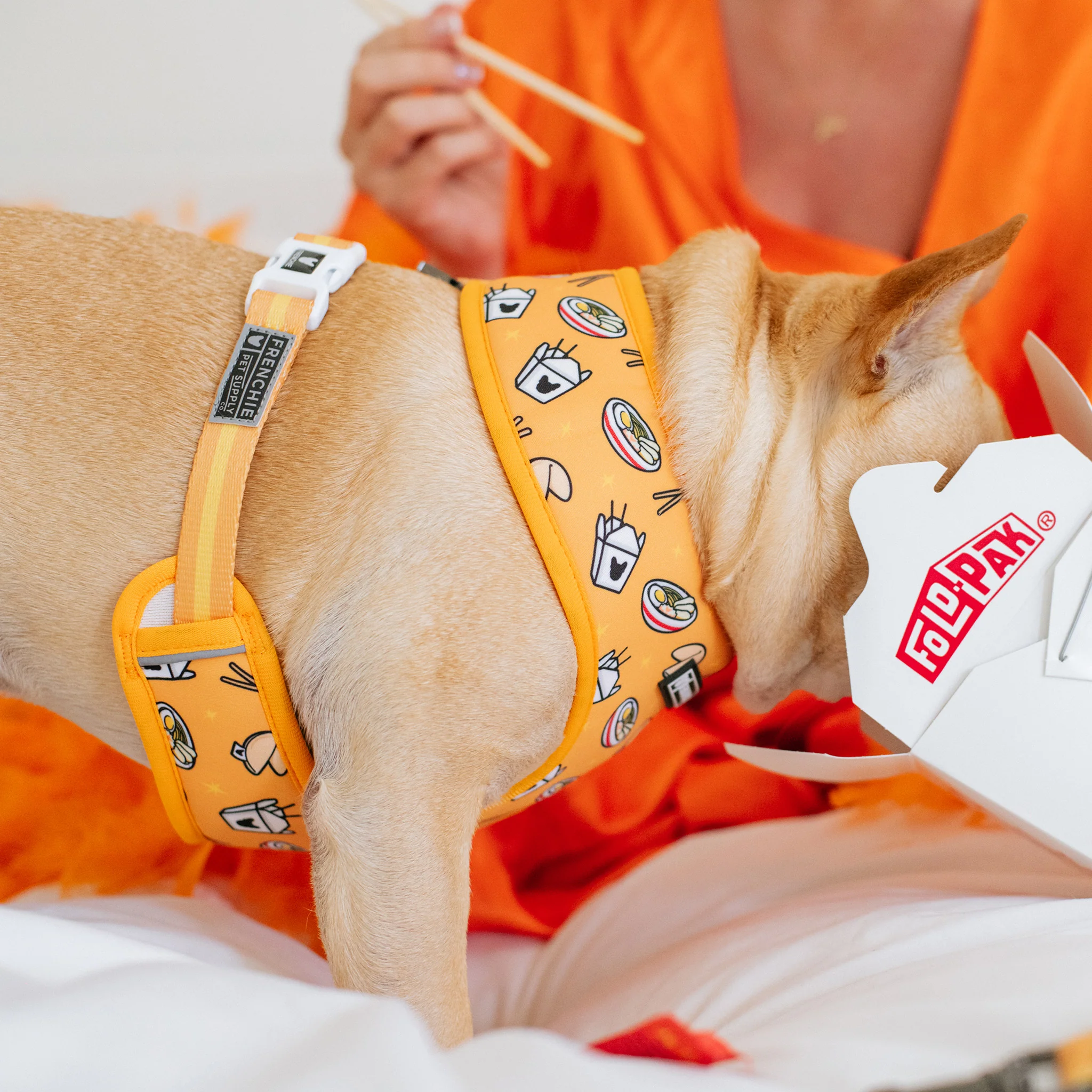 Frenchie Duo Reversible Harness - Frenchie Takeout - Image 6