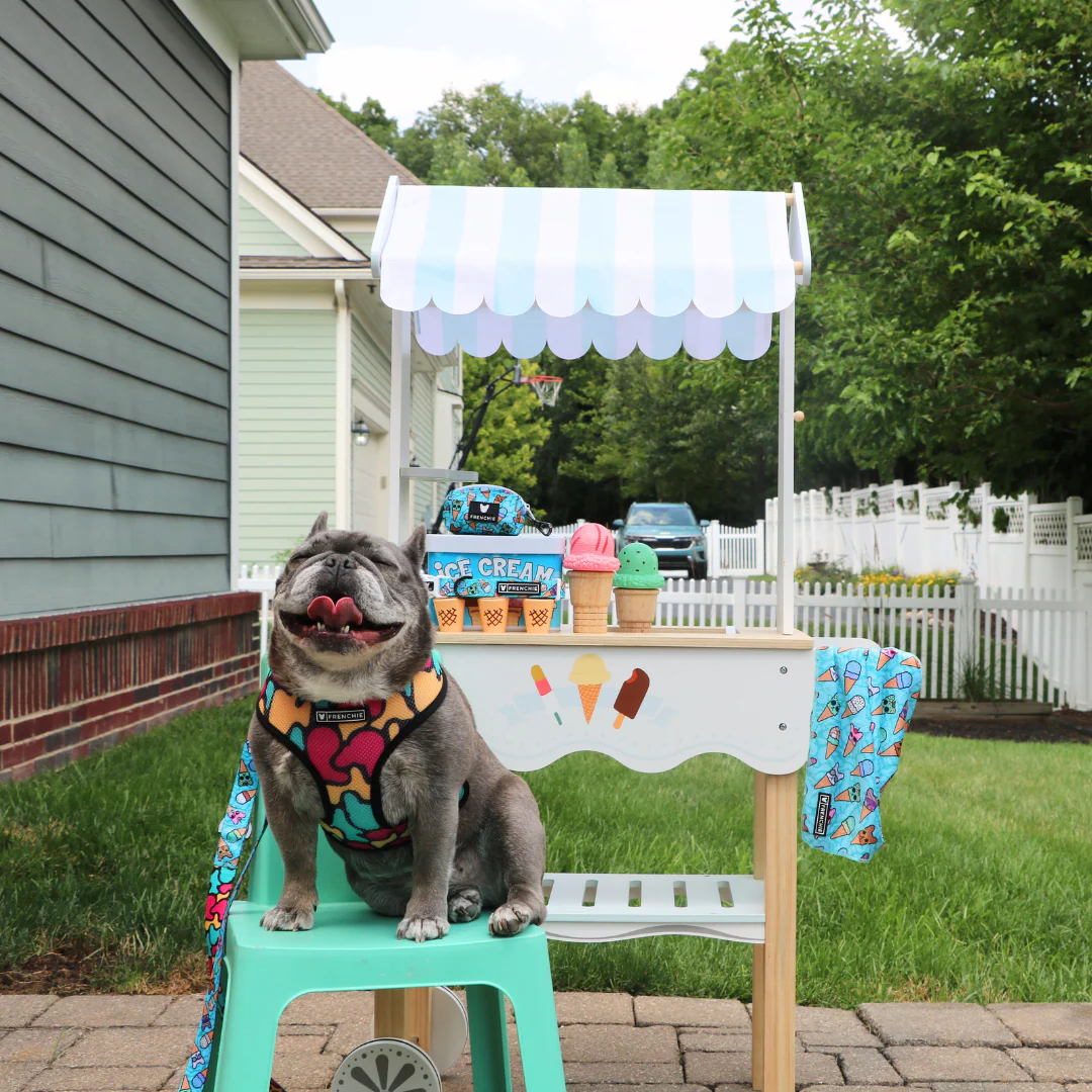 Frenchie Duo Reversible Harness - Frozen Frenzy - Image 5