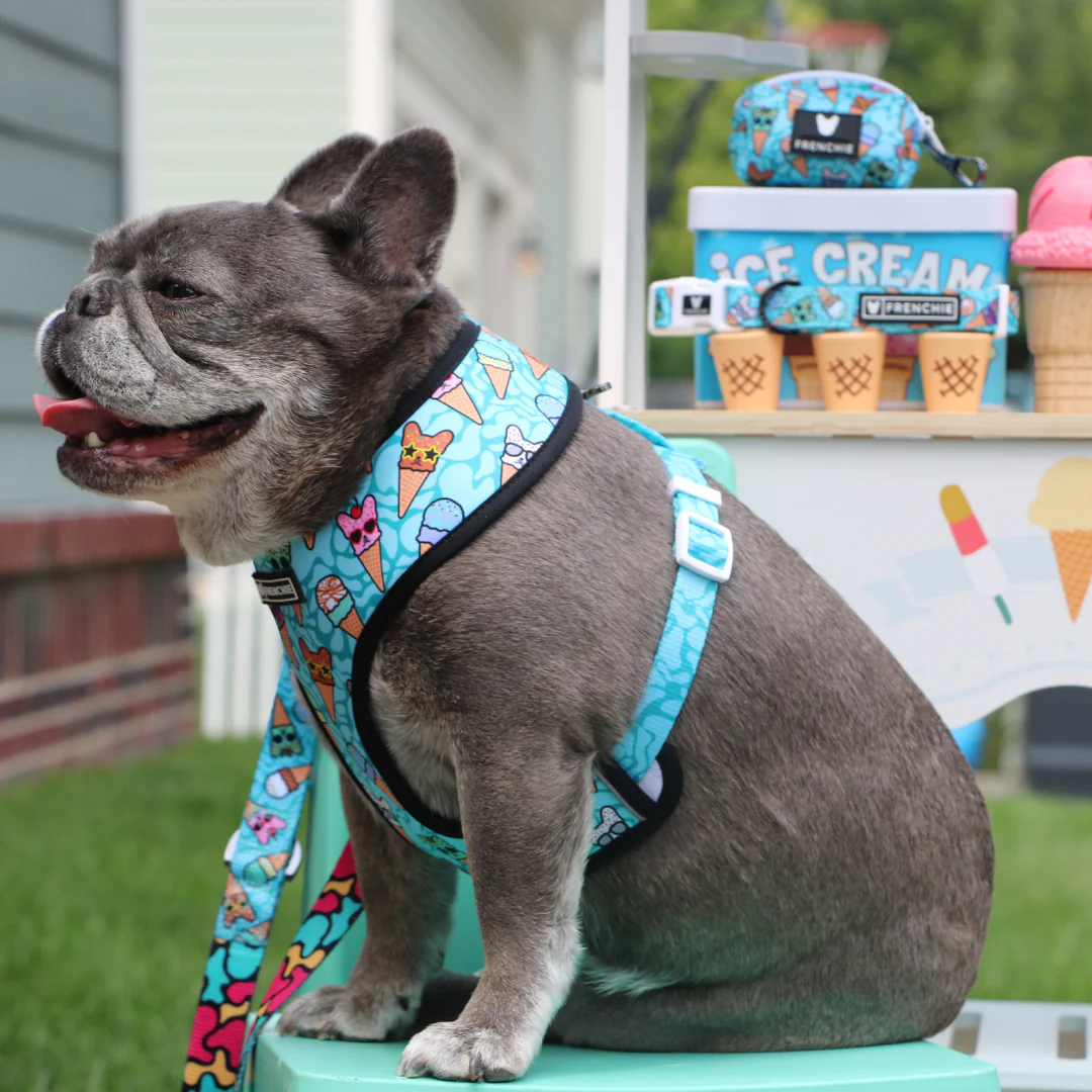 Frenchie Duo Reversible Harness - Frozen Frenzy - Image 6