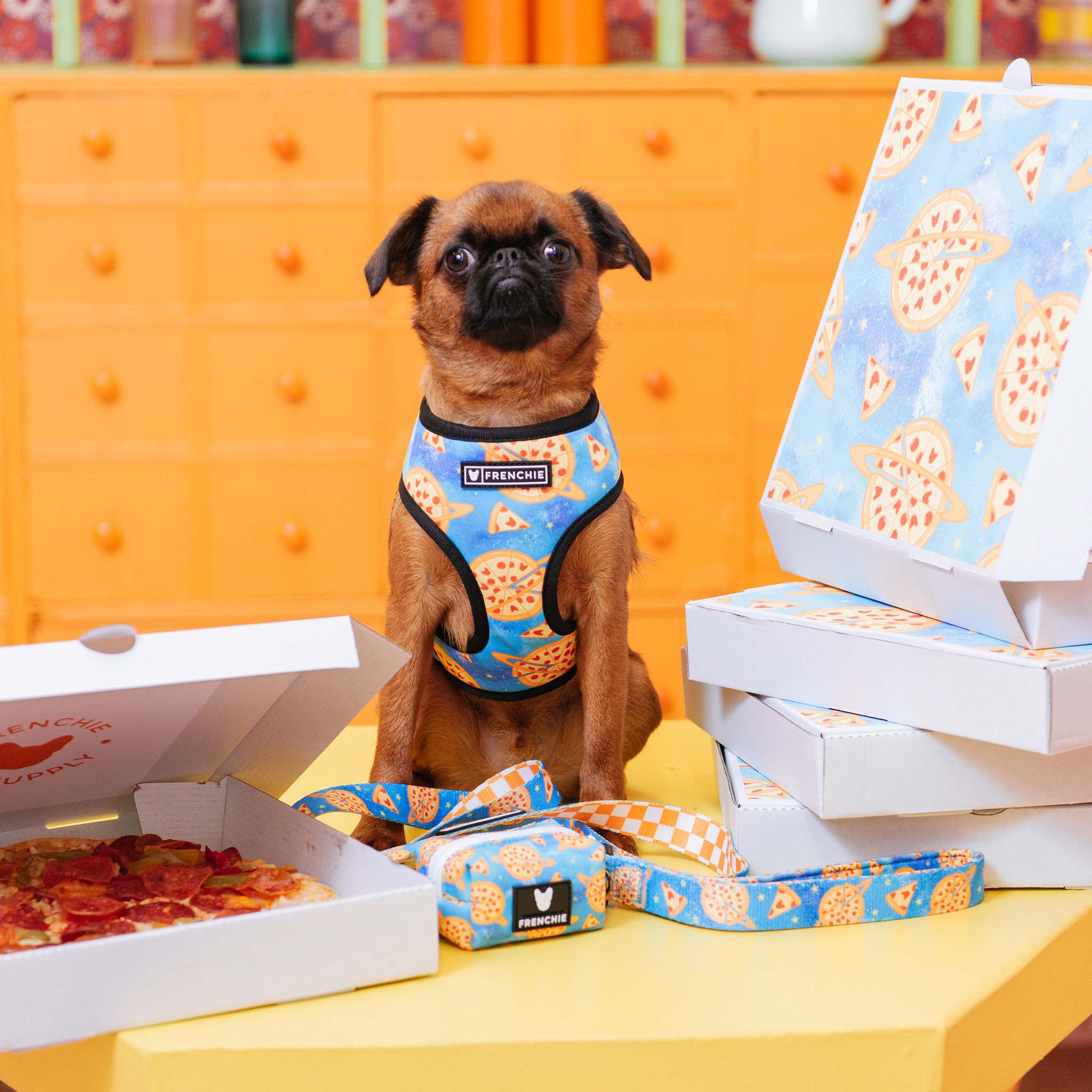 Frenchie Duo Reversible Harness - Galaxy Pizza - Image 4