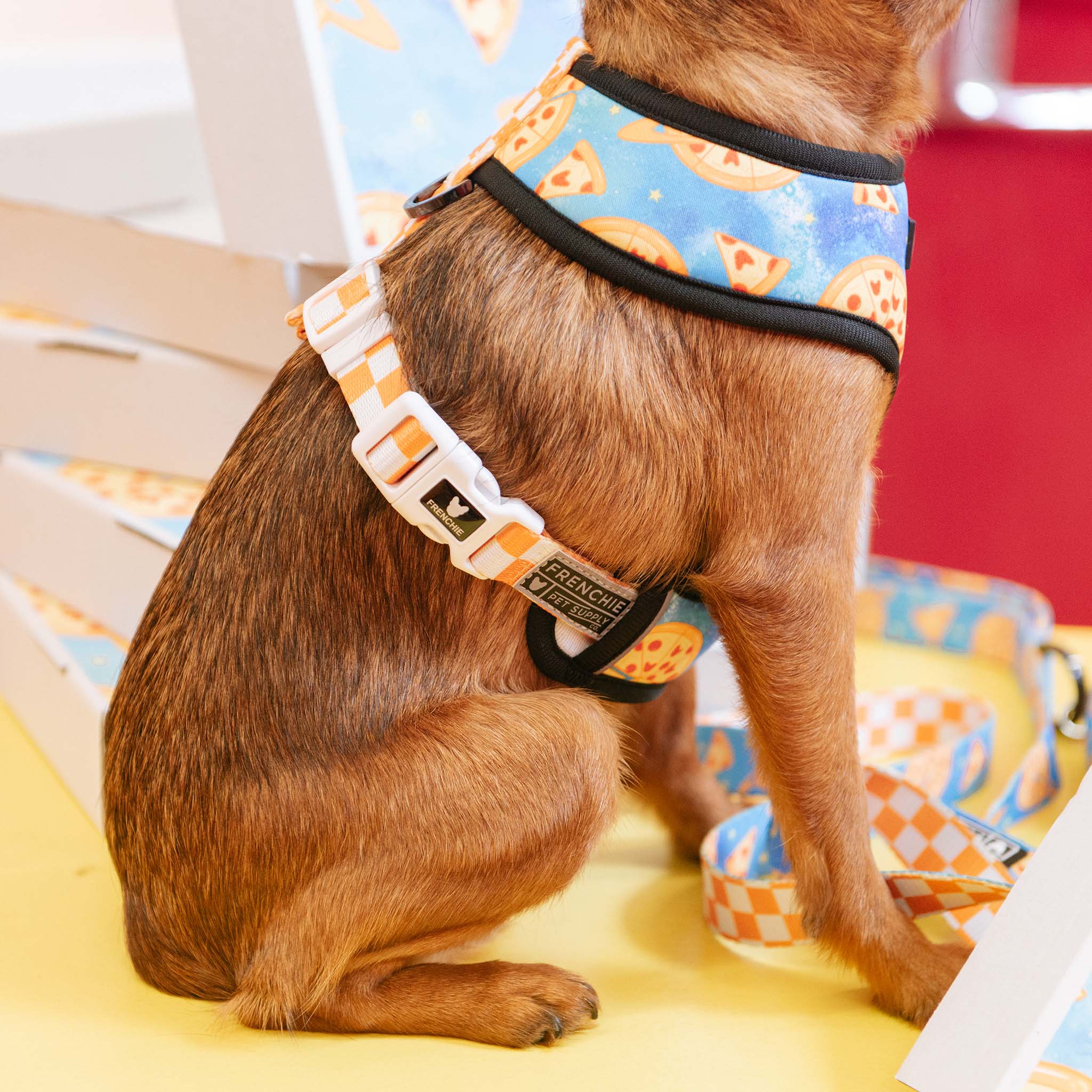 Frenchie Duo Reversible Harness - Galaxy Pizza - Image 5