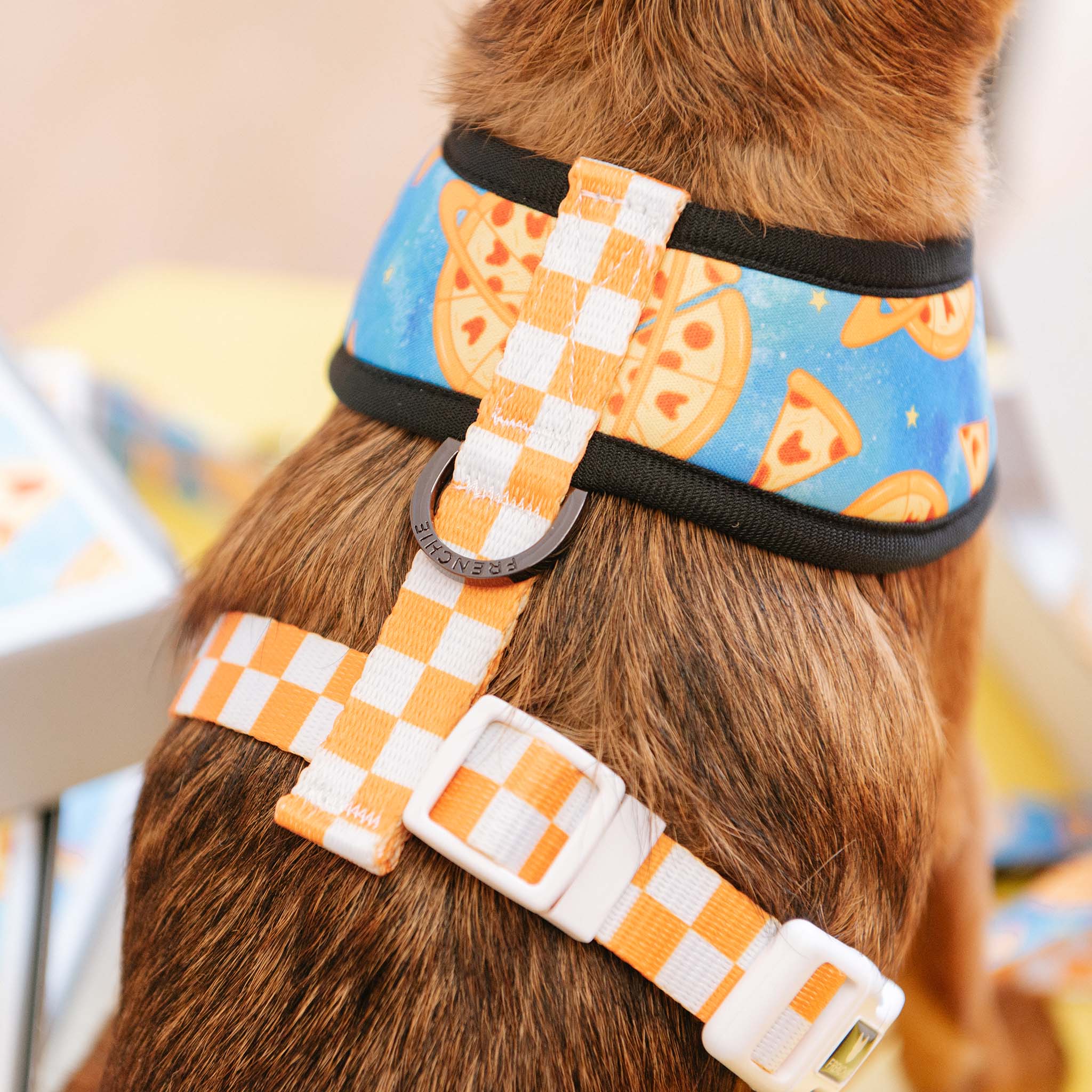 Frenchie Duo Reversible Harness - Galaxy Pizza - Image 6