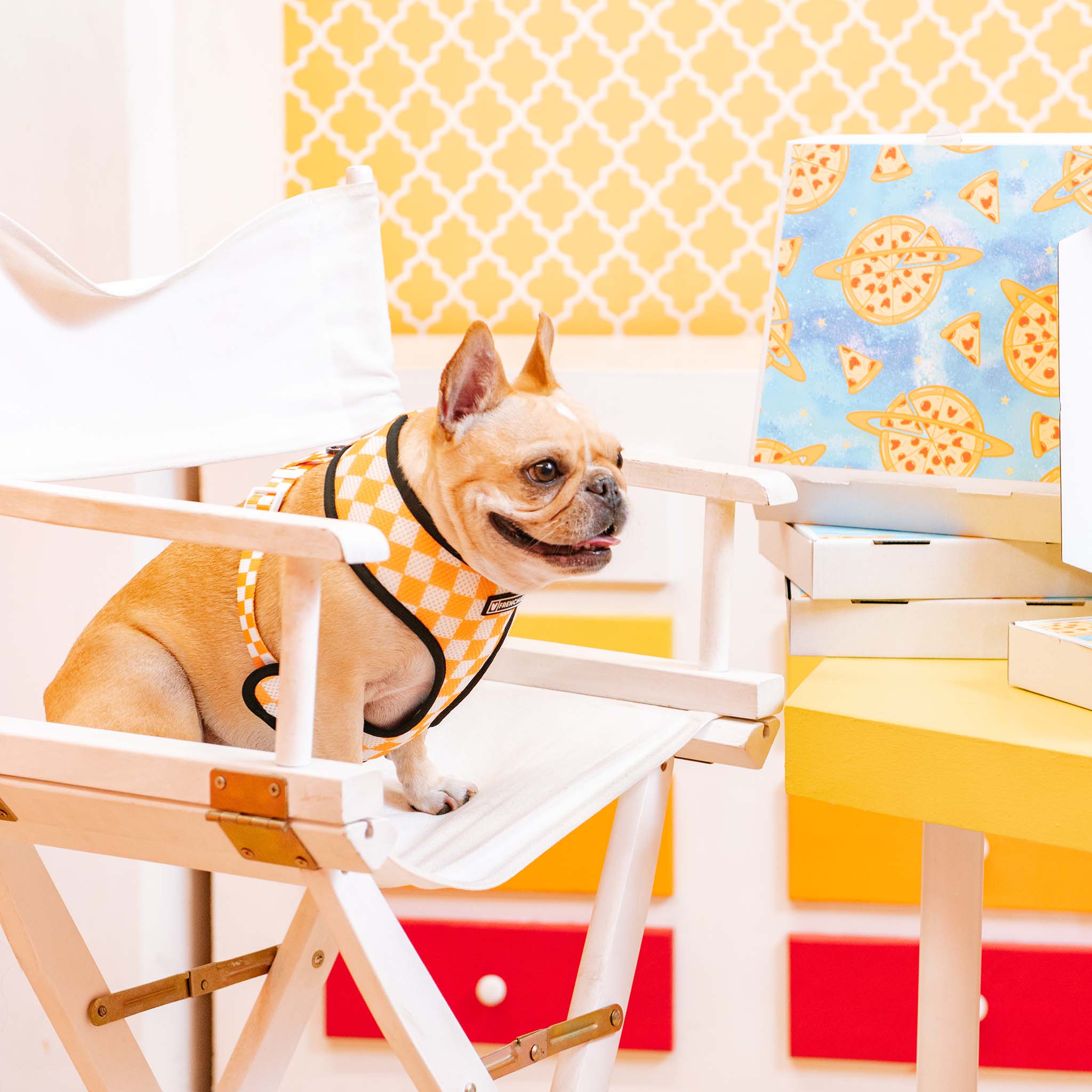 Frenchie Duo Reversible Harness - Galaxy Pizza - Image 7