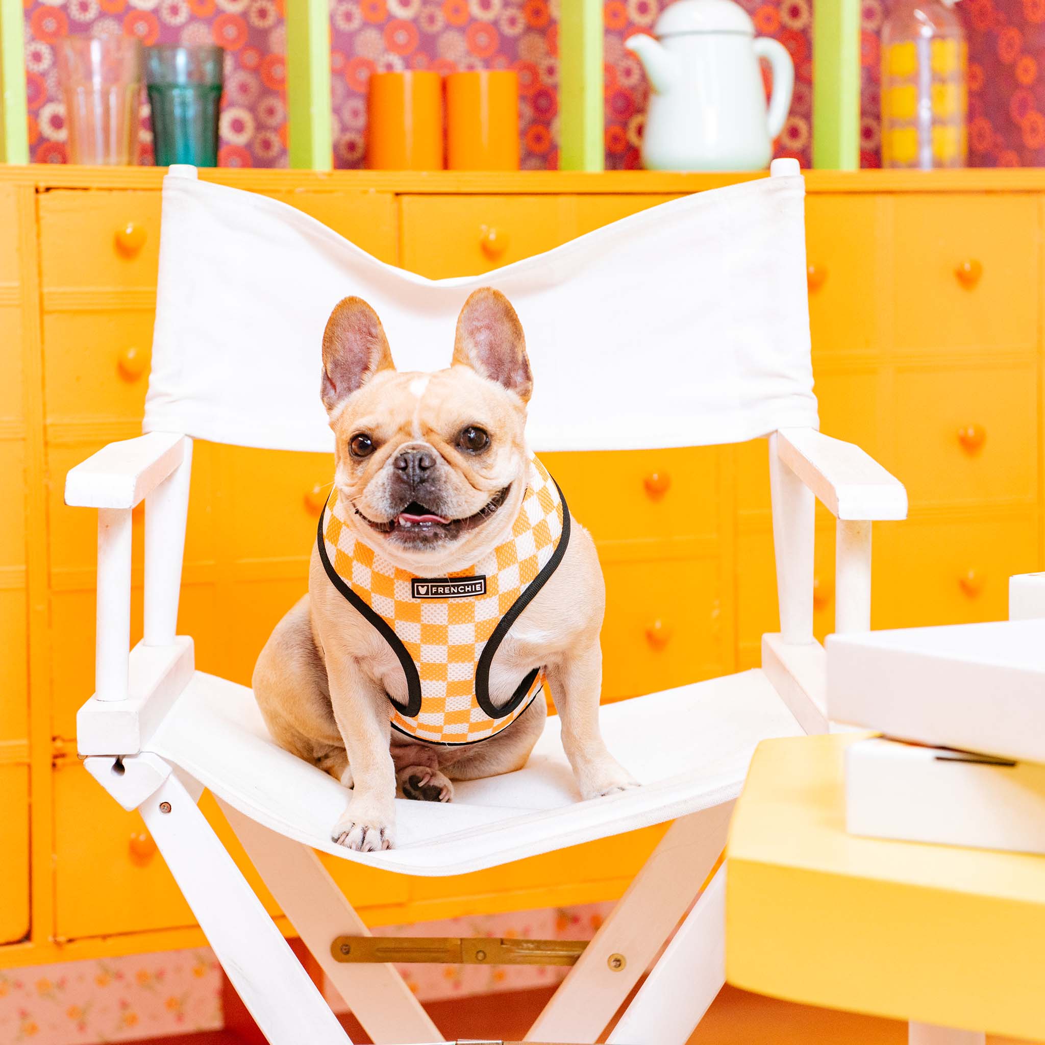 Frenchie Duo Reversible Harness - Galaxy Pizza - Image 8
