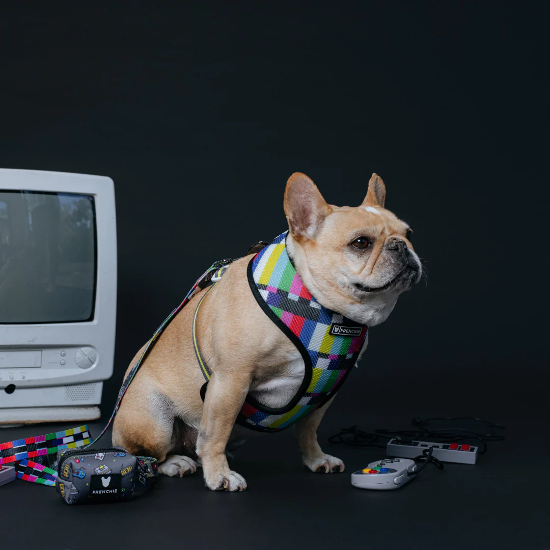 Frenchie Duo Reversible Harness - Gamer - Image 10