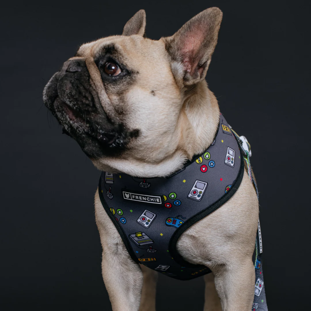 Frenchie Duo Reversible Harness - Gamer - Image 2
