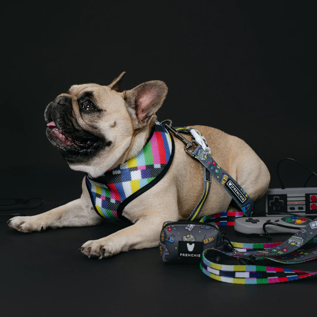 Frenchie Duo Reversible Harness - Gamer - Image 3