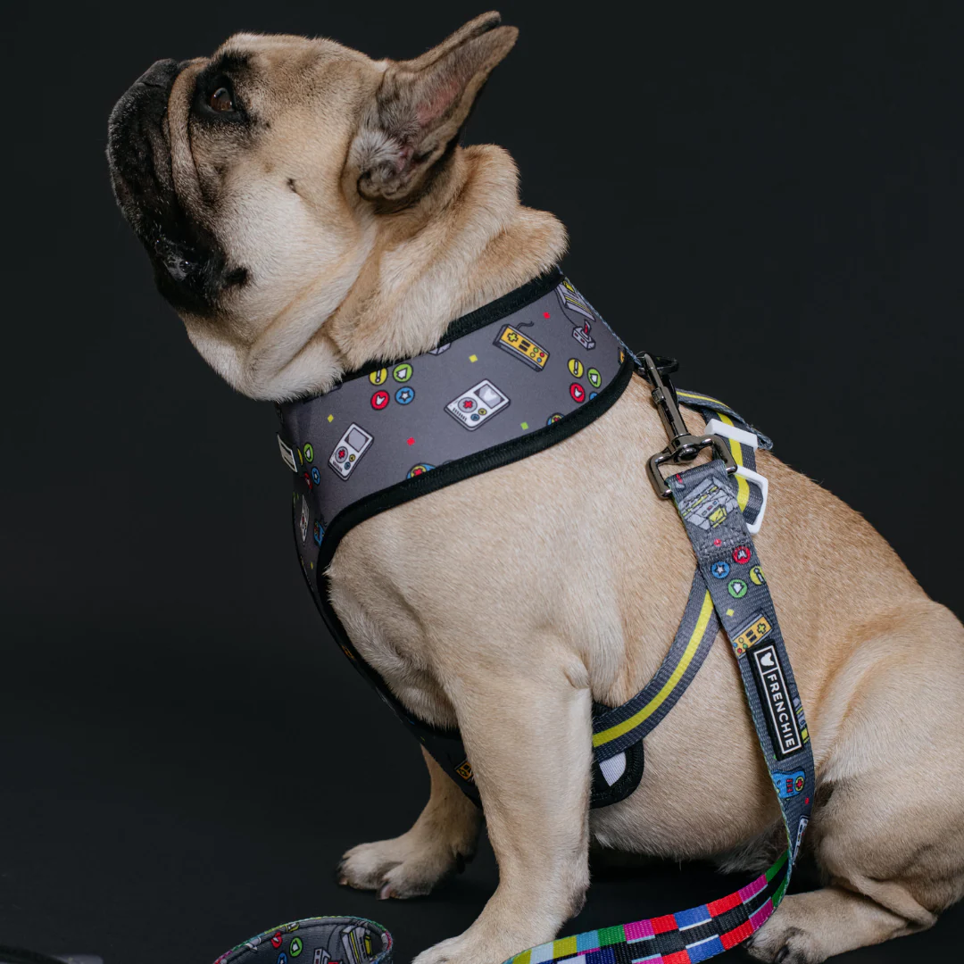 Frenchie Duo Reversible Harness - Gamer - Image 4