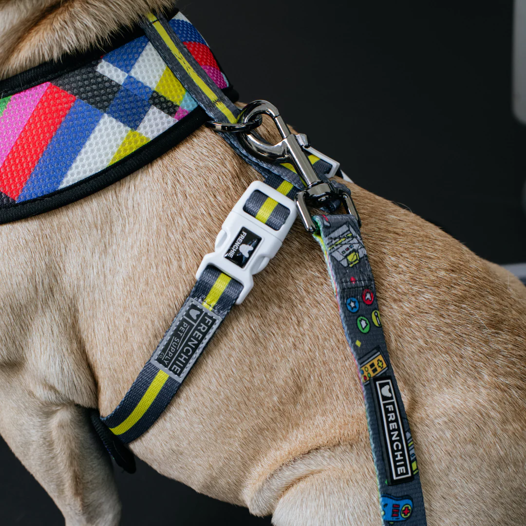 Frenchie Duo Reversible Harness - Gamer - Image 5