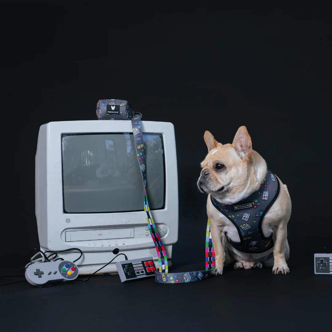Frenchie Duo Reversible Harness - Gamer - Image 6