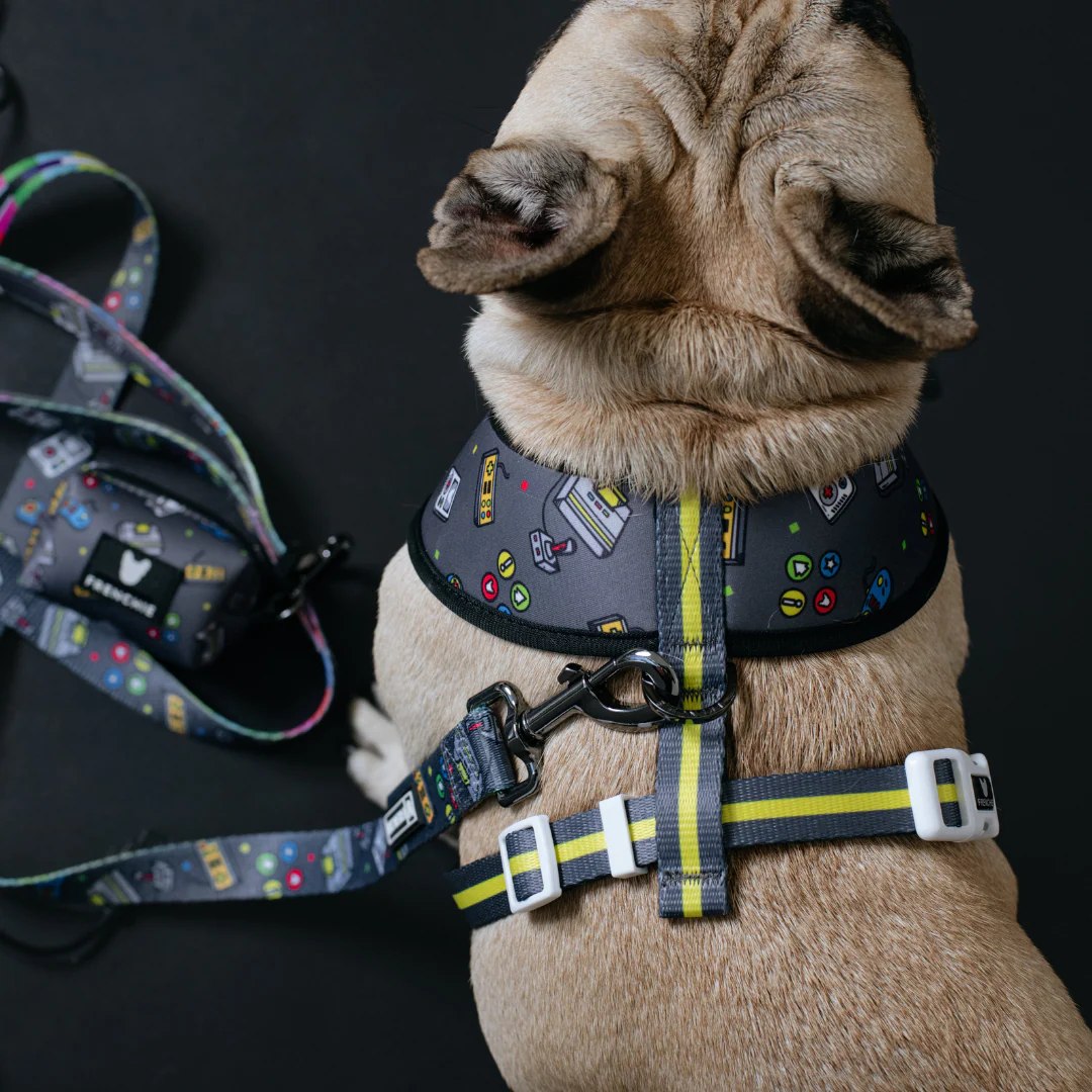 Frenchie Duo Reversible Harness - Gamer - Image 8