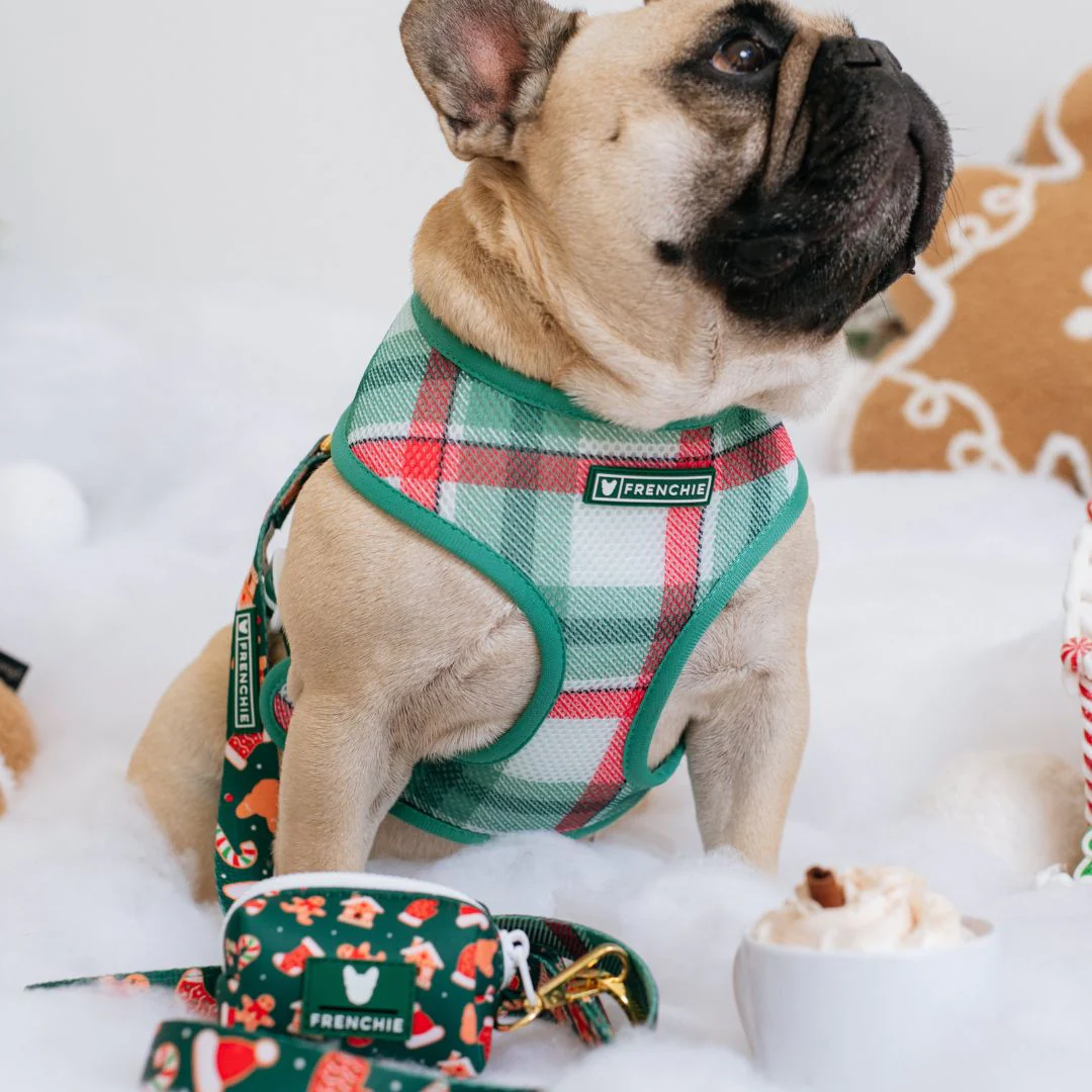 Frenchie Duo Reversible Harness - Gingerbread (Green) - Image 10