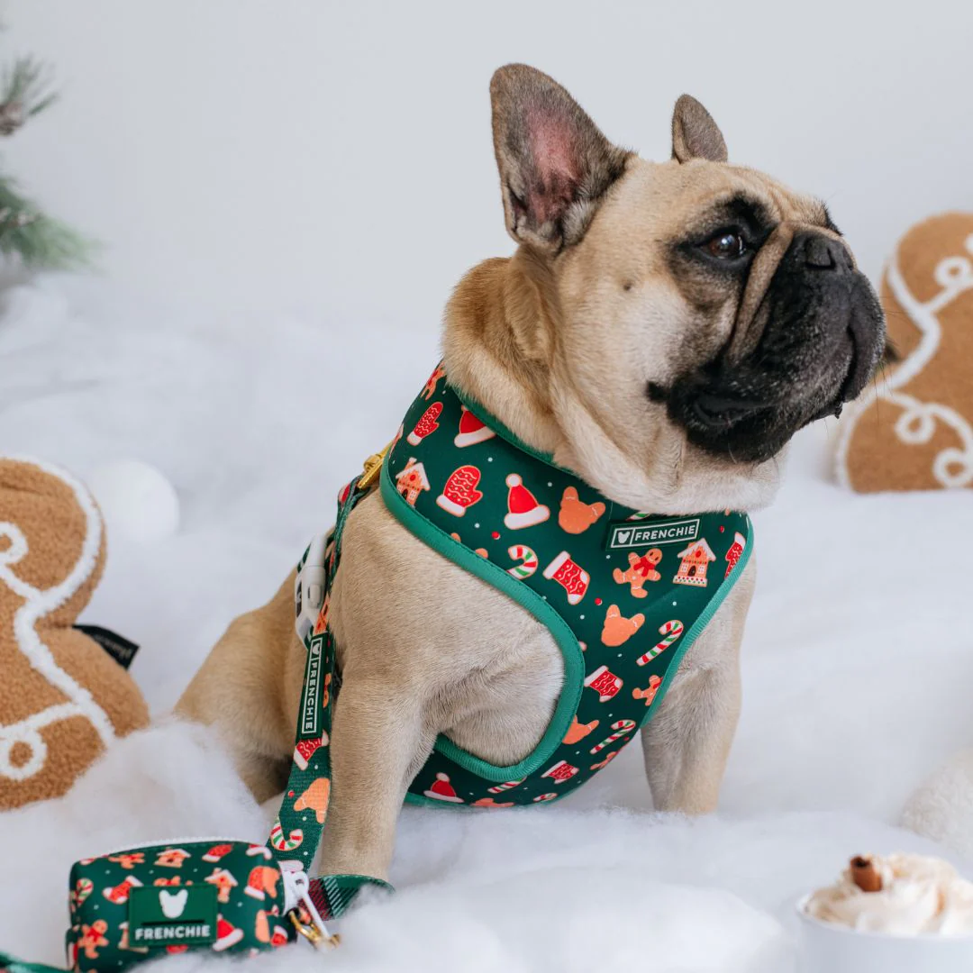 Frenchie Duo Reversible Harness - Gingerbread (Green) - Image 2