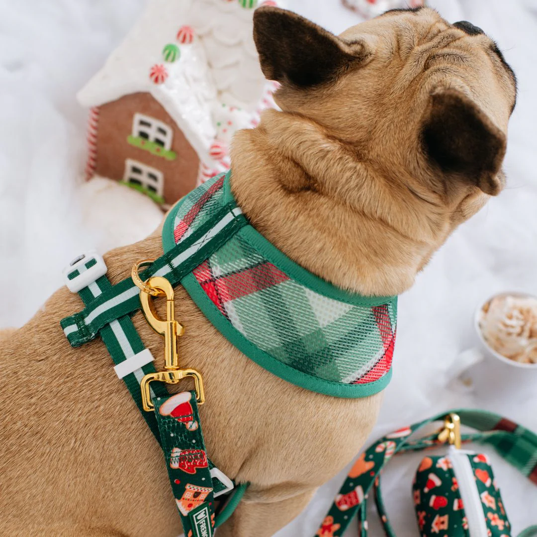 Frenchie Duo Reversible Harness - Gingerbread (Green) - Image 4