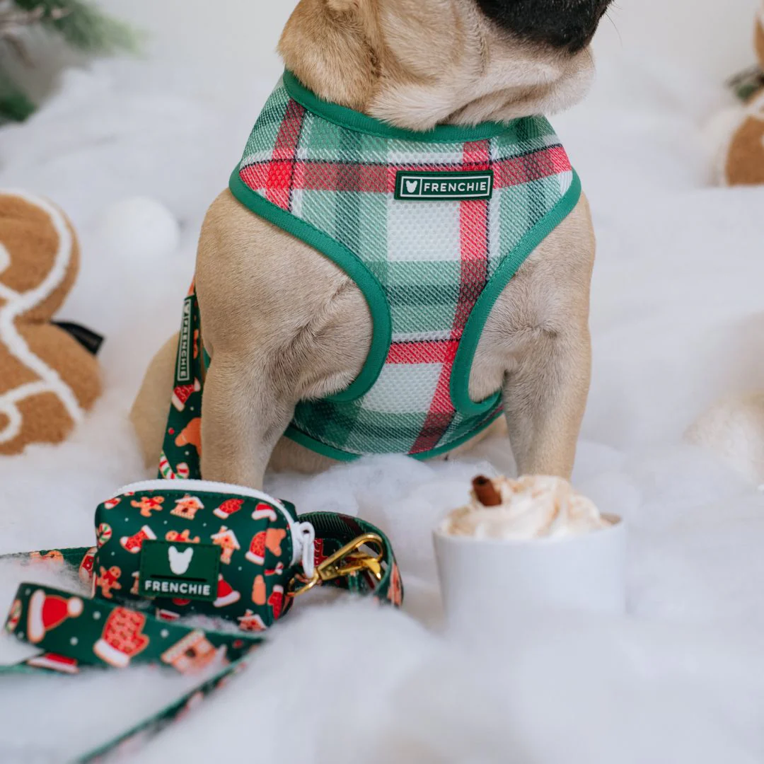 Frenchie Duo Reversible Harness - Gingerbread (Green) - Image 6