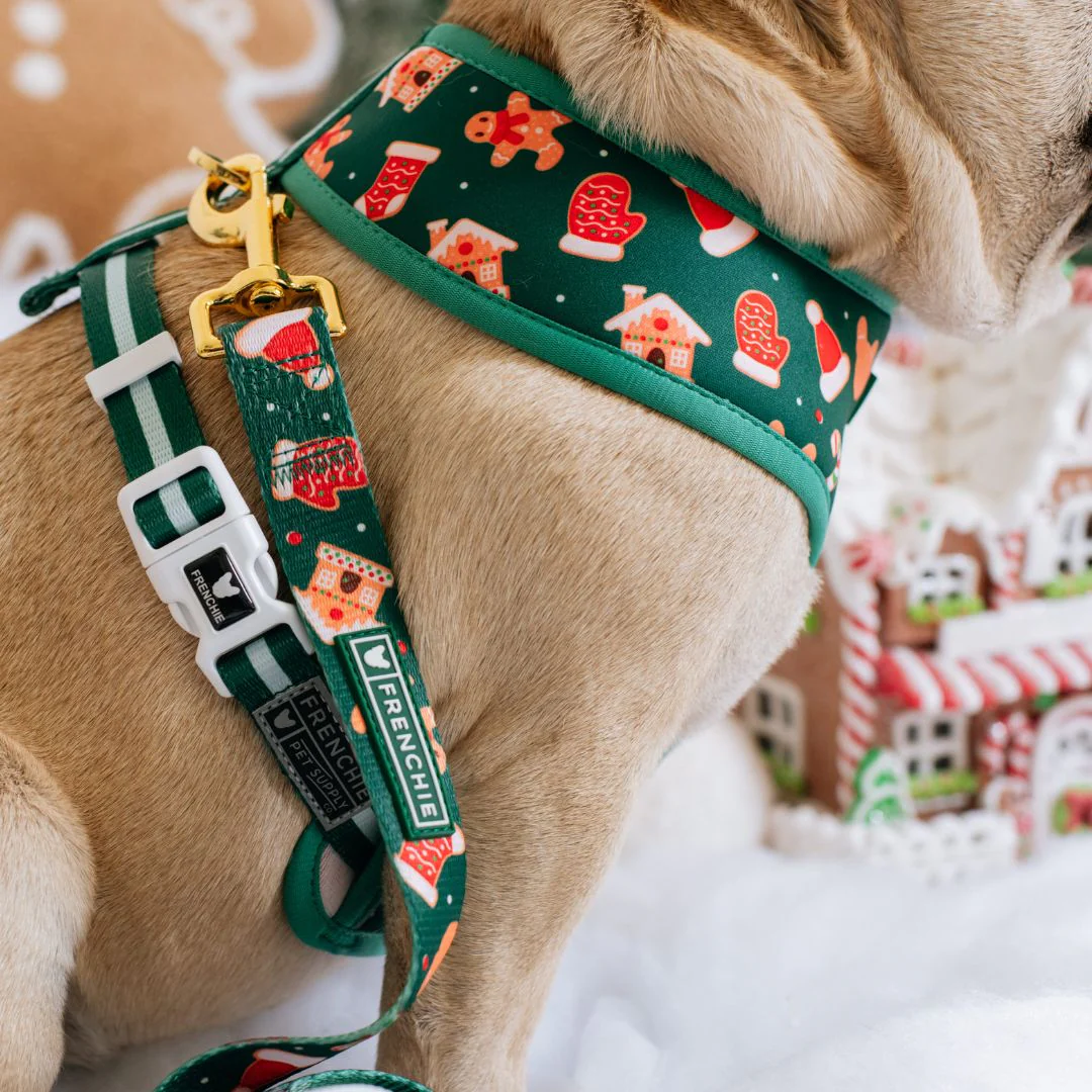 Frenchie Duo Reversible Harness - Gingerbread (Green) - Image 7