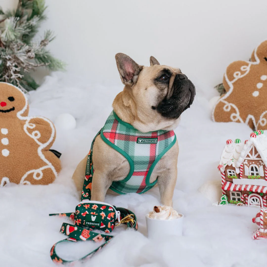 Frenchie Duo Reversible Harness - Gingerbread (Green) - Image 8