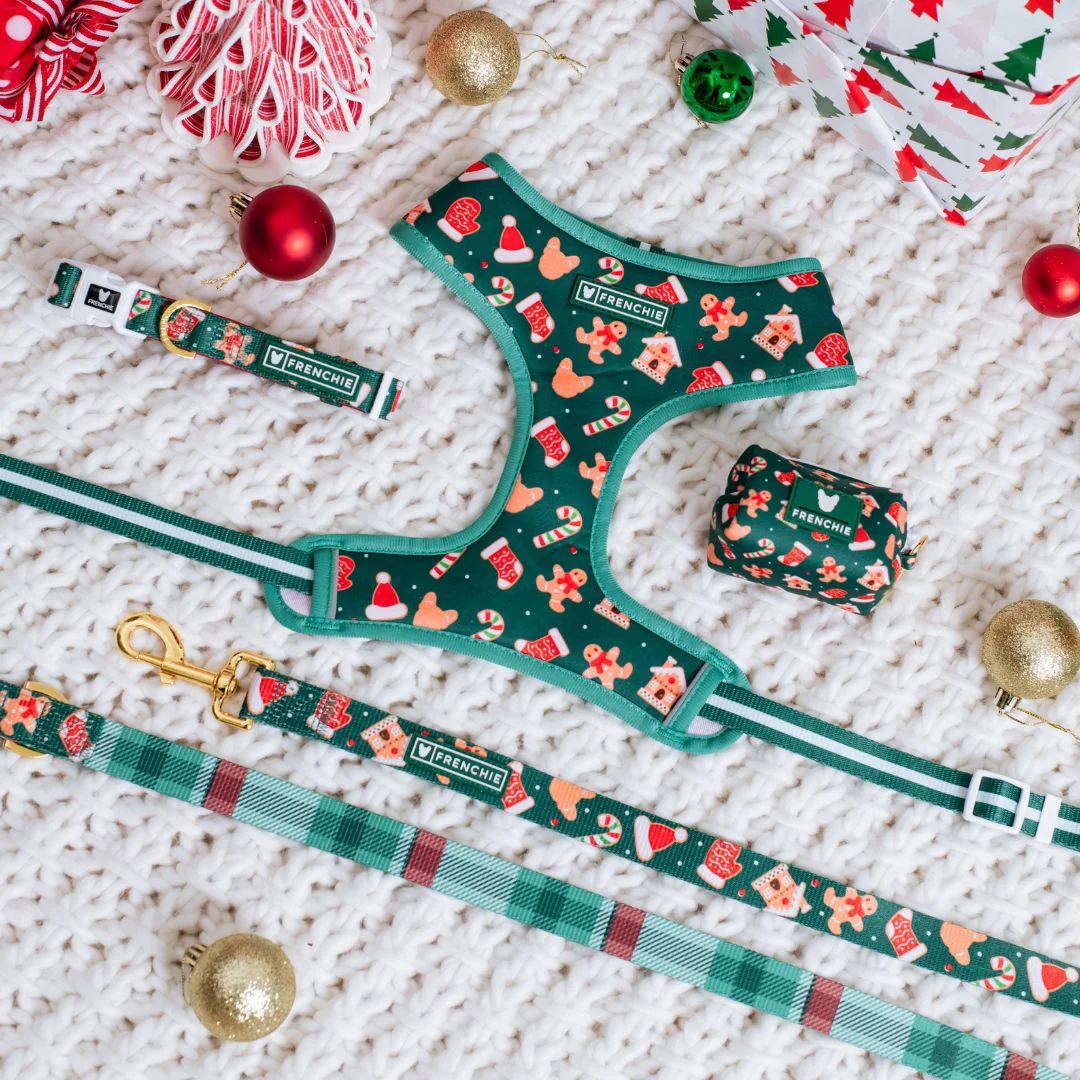 Frenchie Duo Reversible Harness - Gingerbread (Green) - Image 9