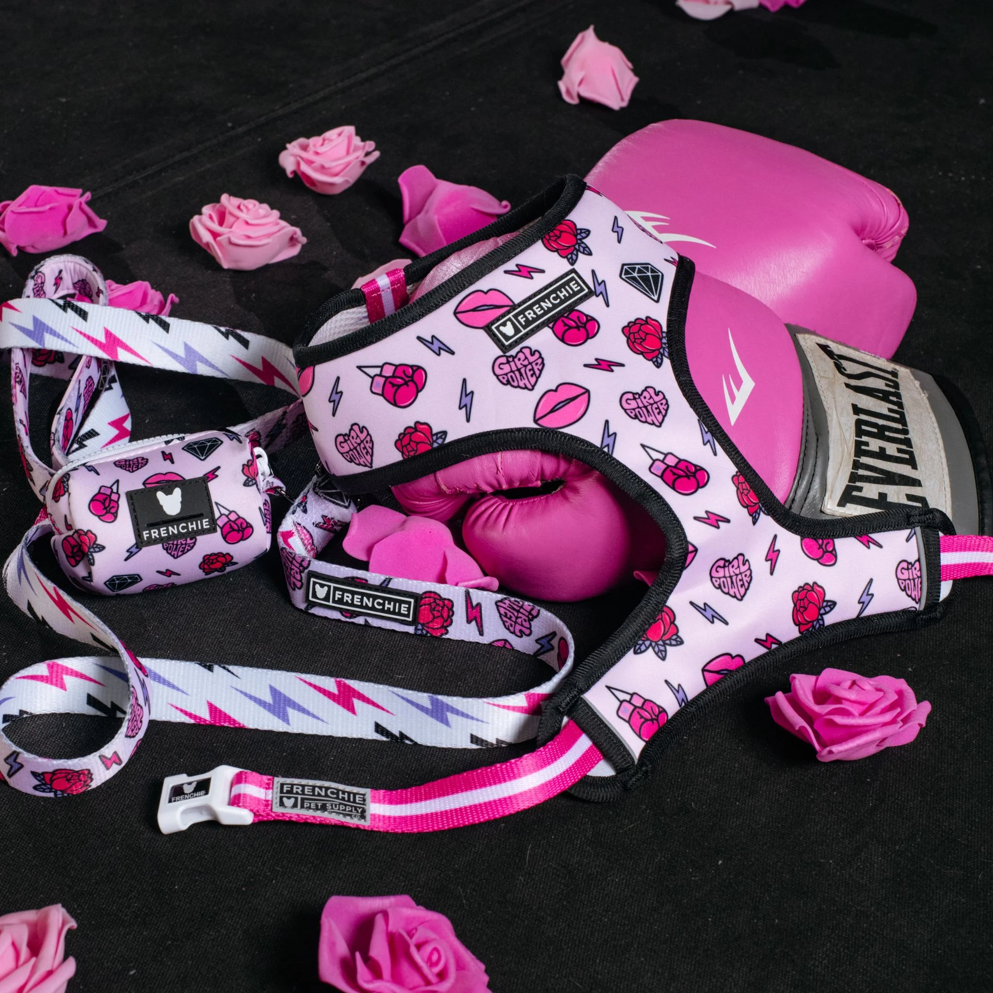 Frenchie Duo Reversible Harness - Girl Power - Image 10