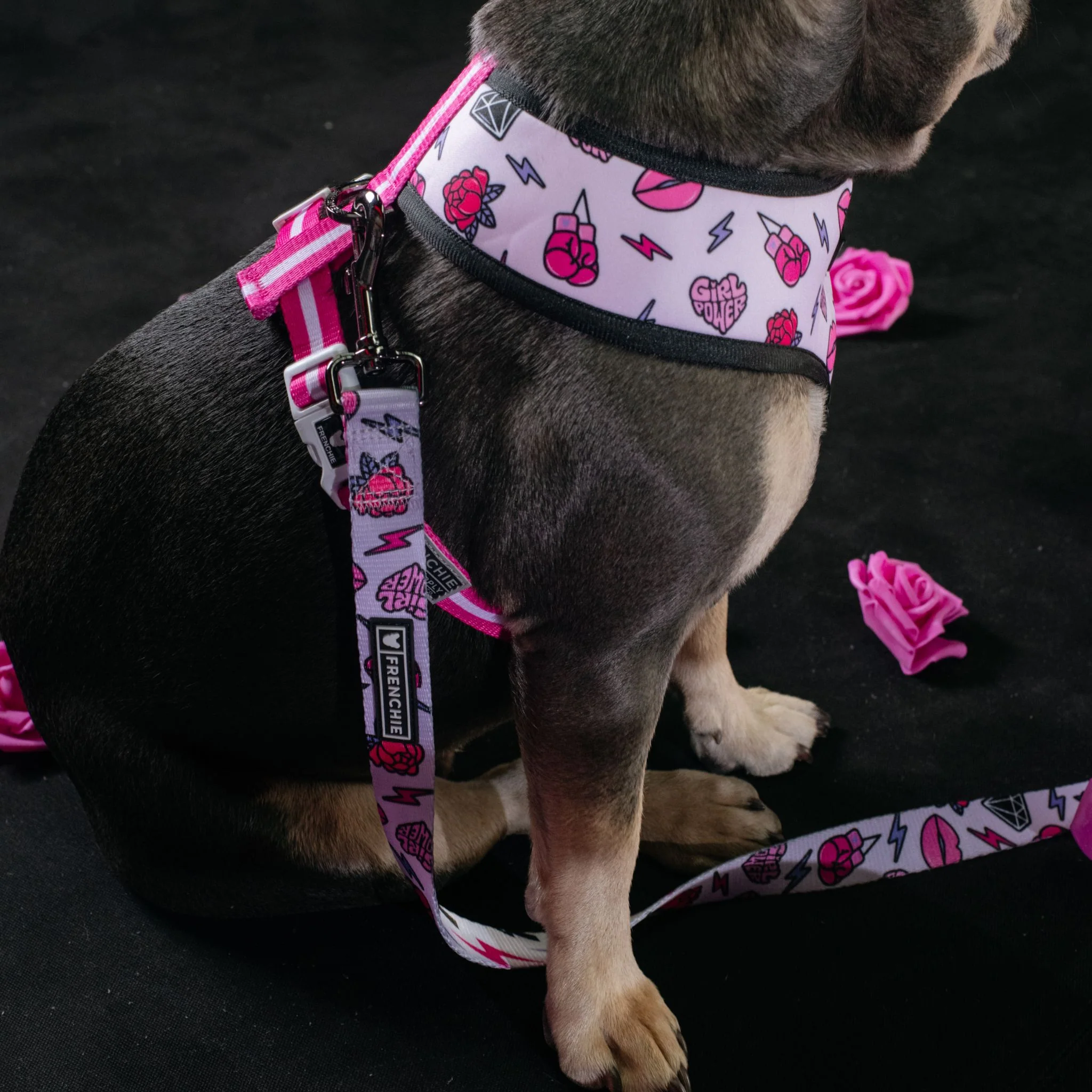Frenchie Duo Reversible Harness - Girl Power - Image 11