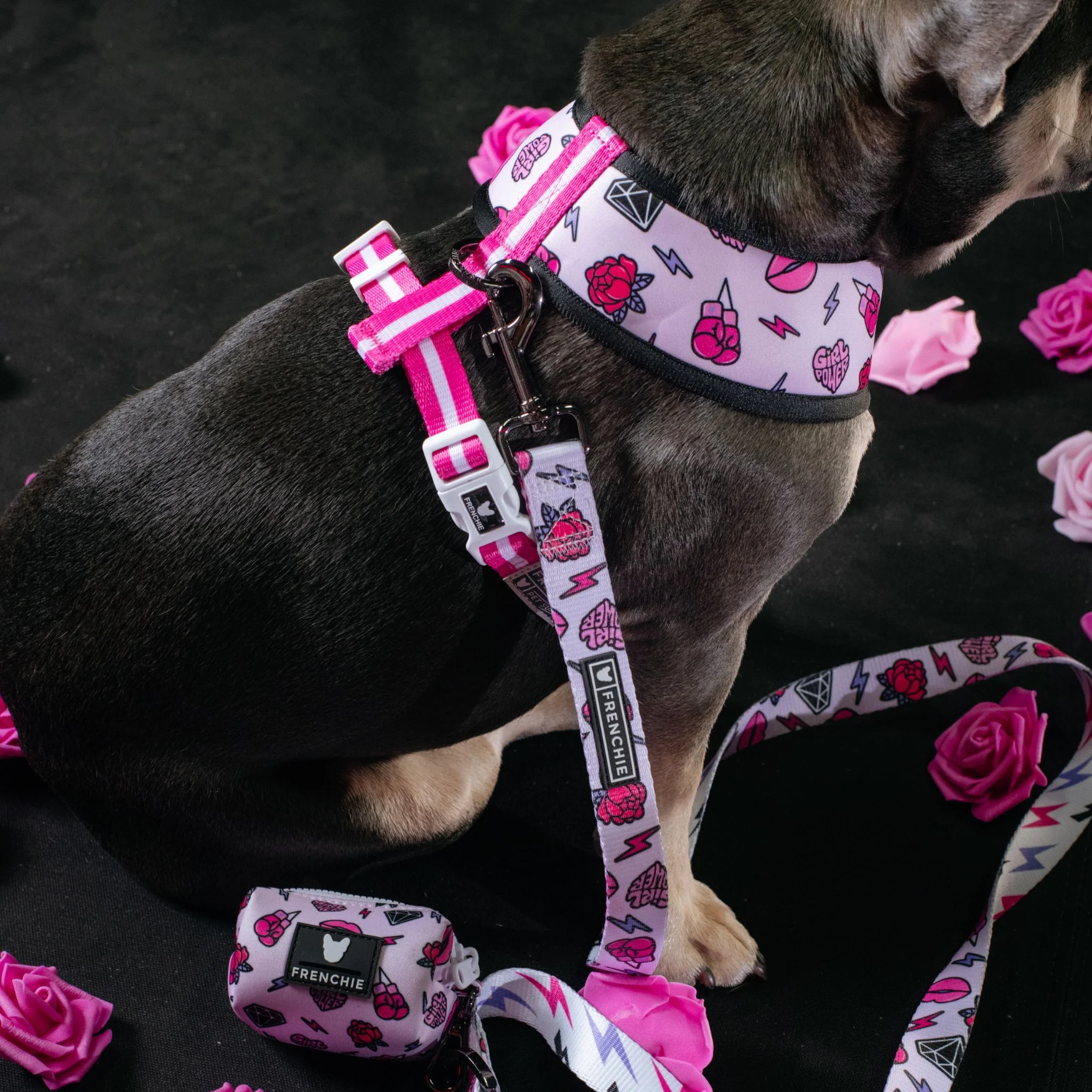 Frenchie Duo Reversible Harness - Girl Power - Image 7