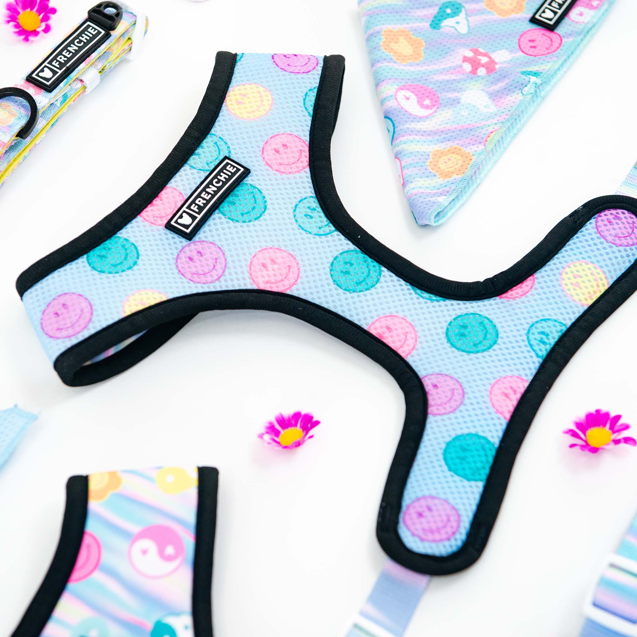Frenchie Duo Reversible Harness - Good Vibes - Image 11