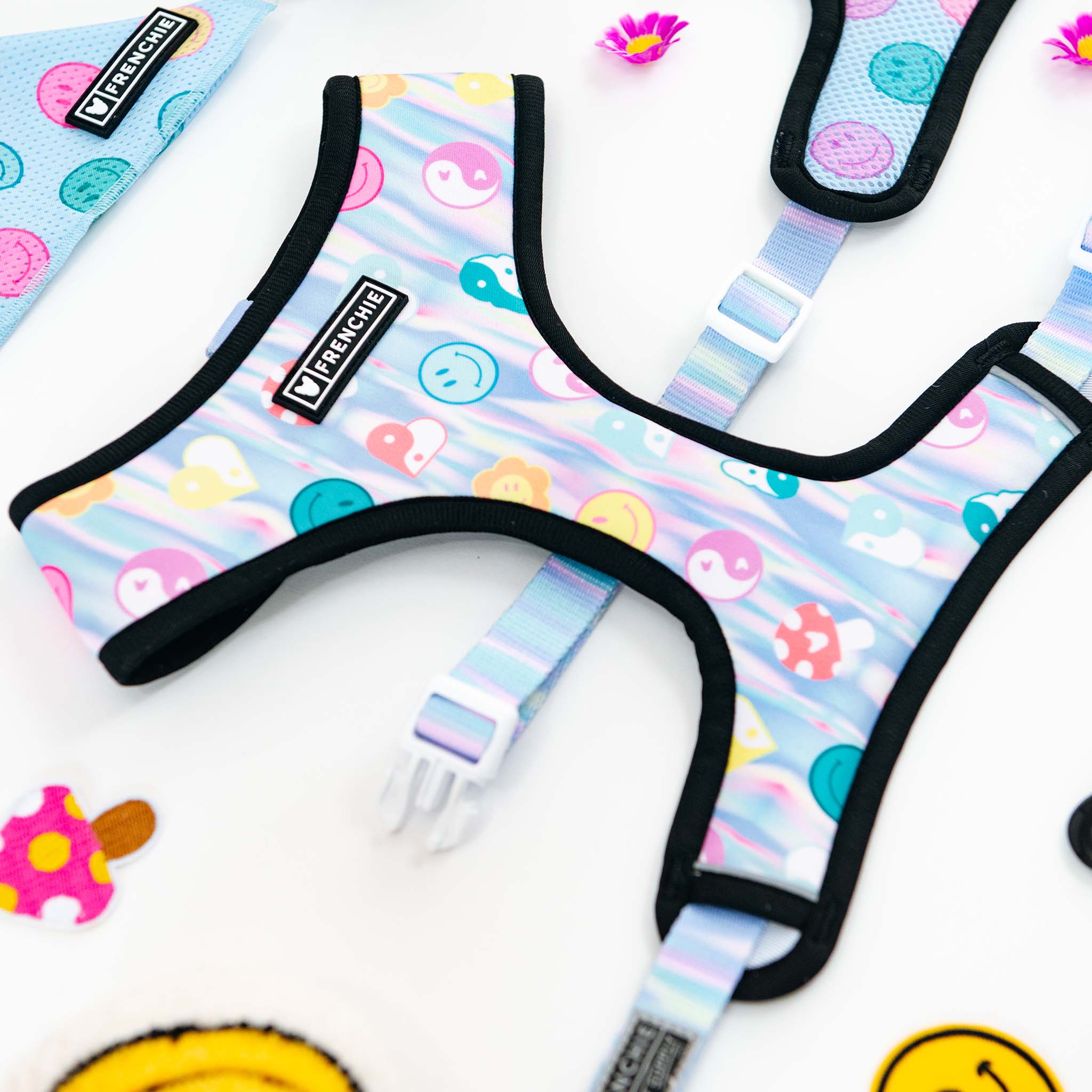 Frenchie Duo Reversible Harness - Good Vibes - Image 13