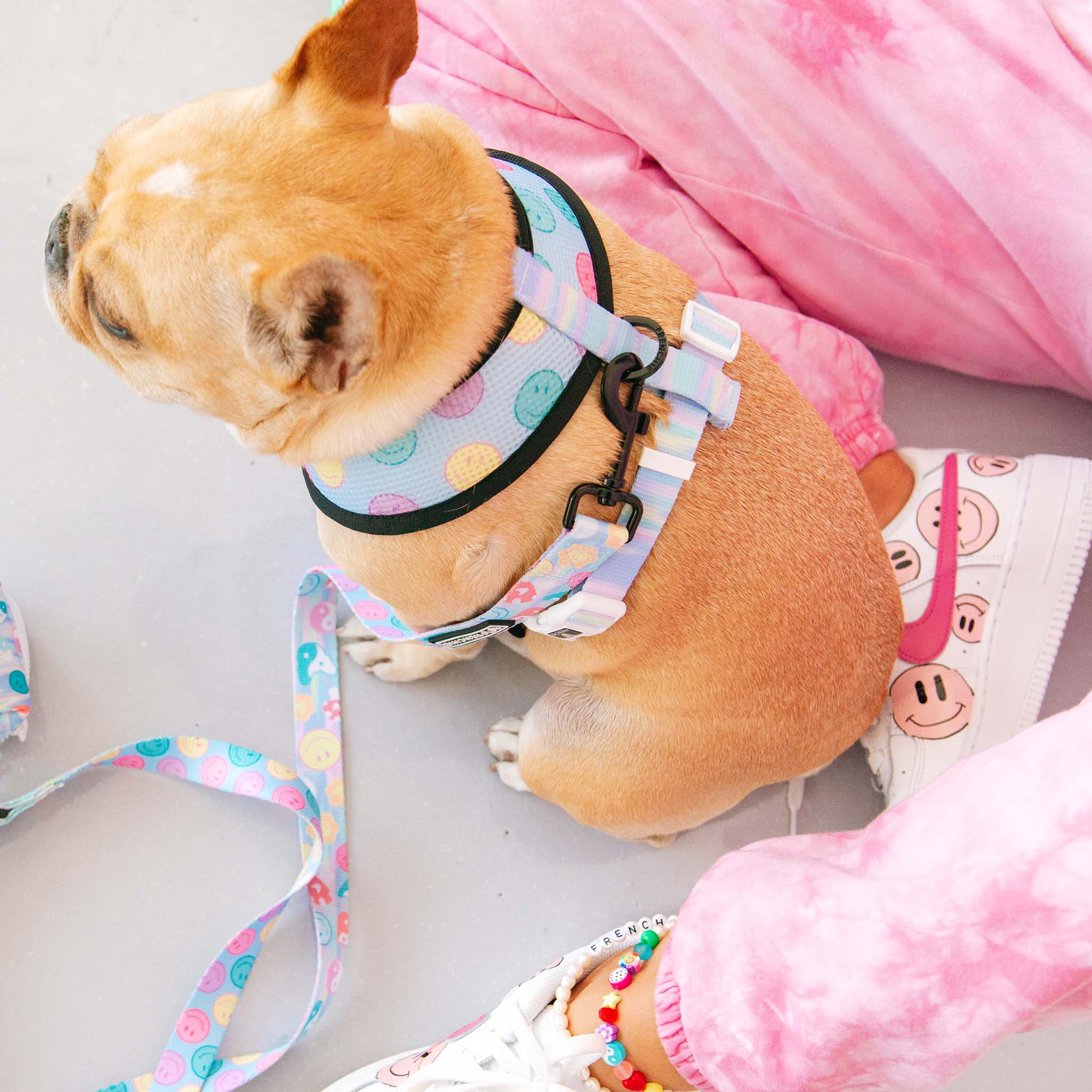 Frenchie Duo Reversible Harness - Good Vibes - Image 3