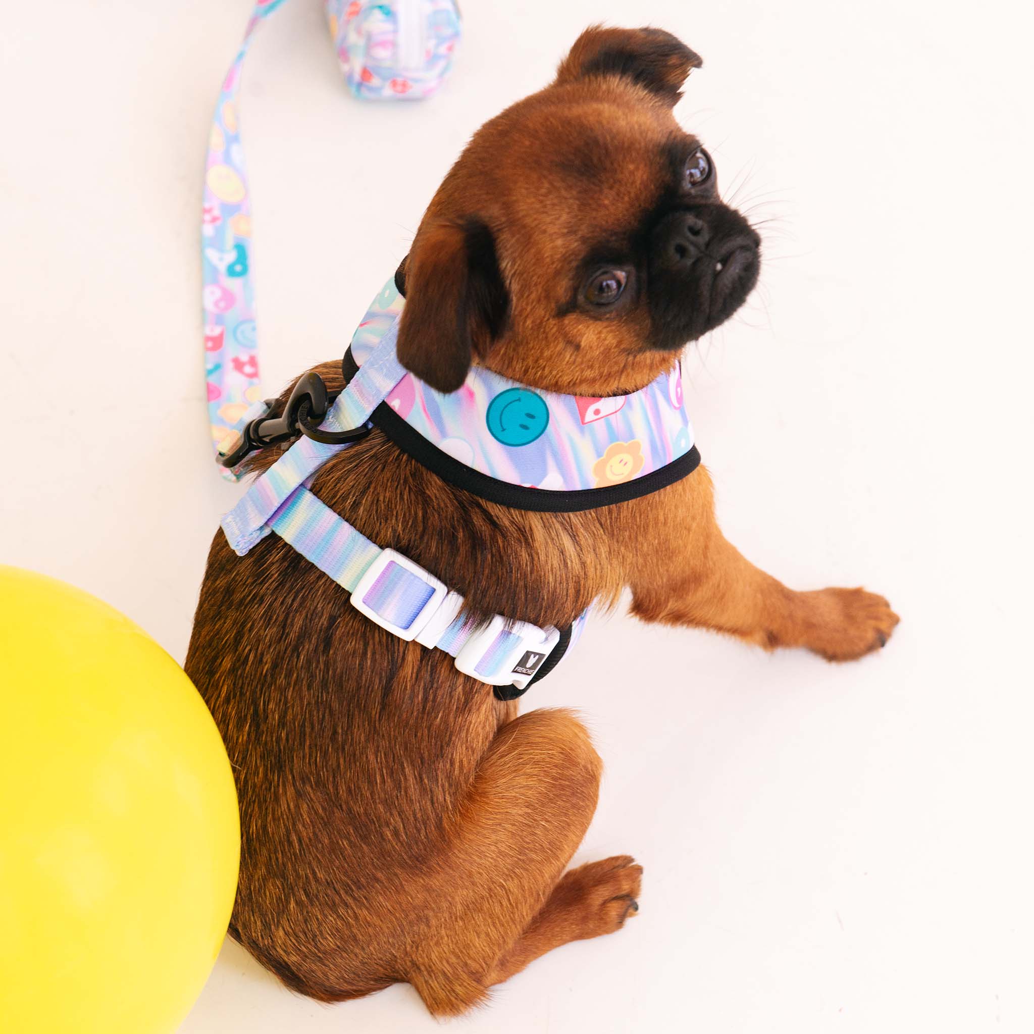 Frenchie Duo Reversible Harness - Good Vibes - Image 5