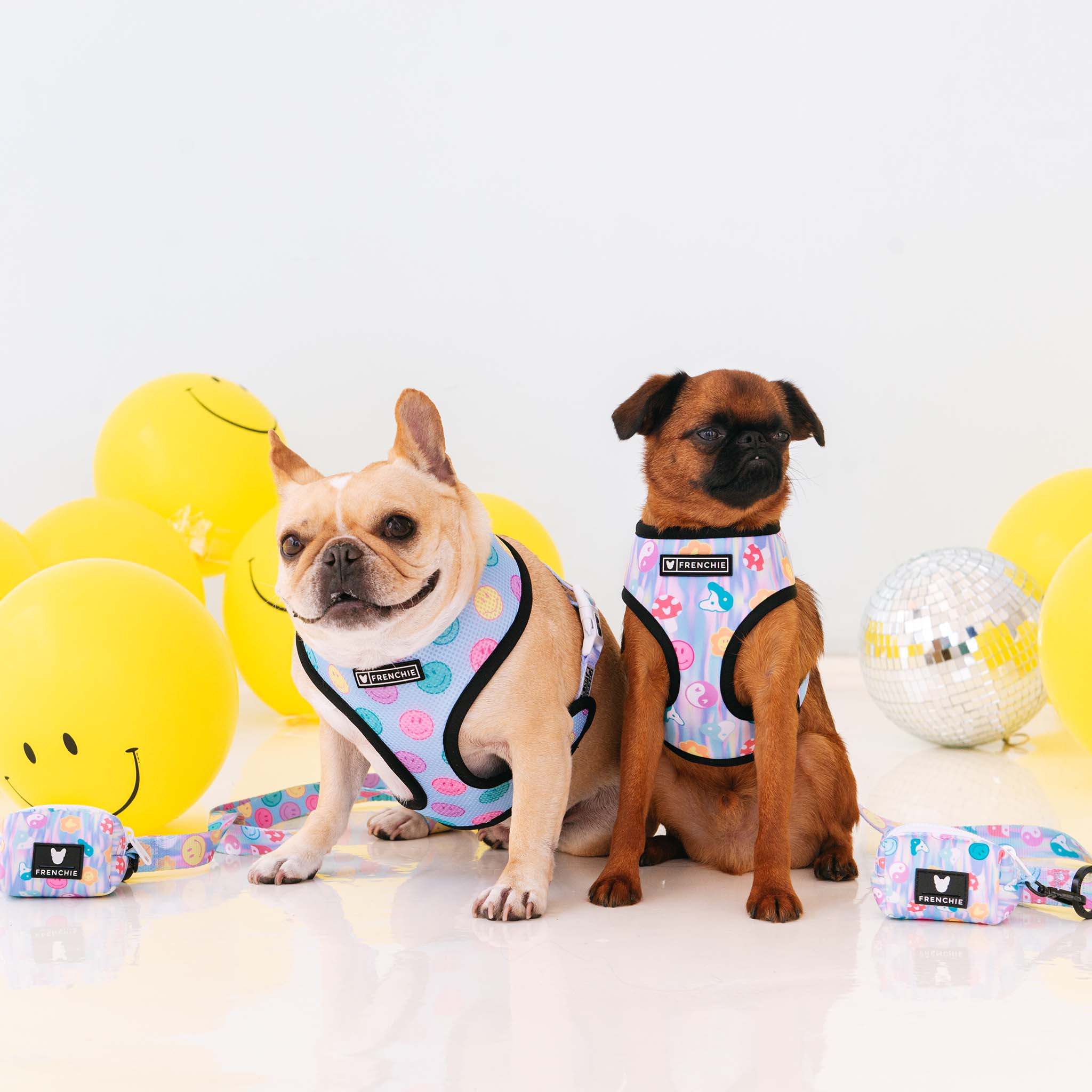 Frenchie Duo Reversible Harness - Good Vibes - Image 6