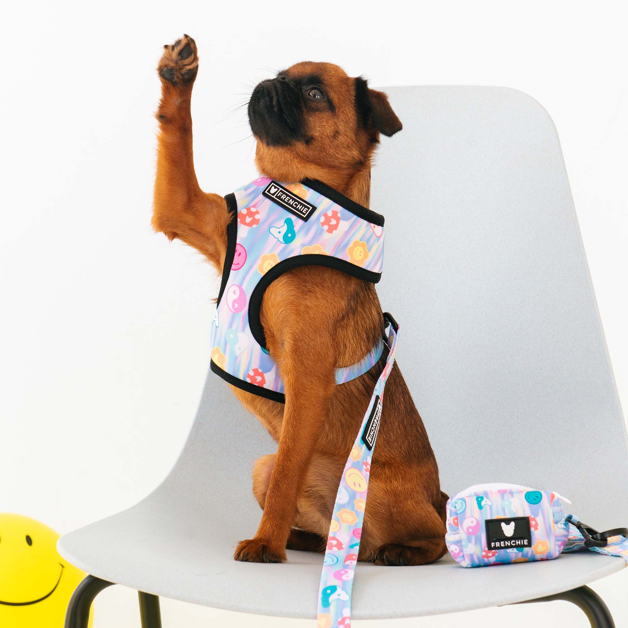 Frenchie Duo Reversible Harness - Good Vibes - Image 7