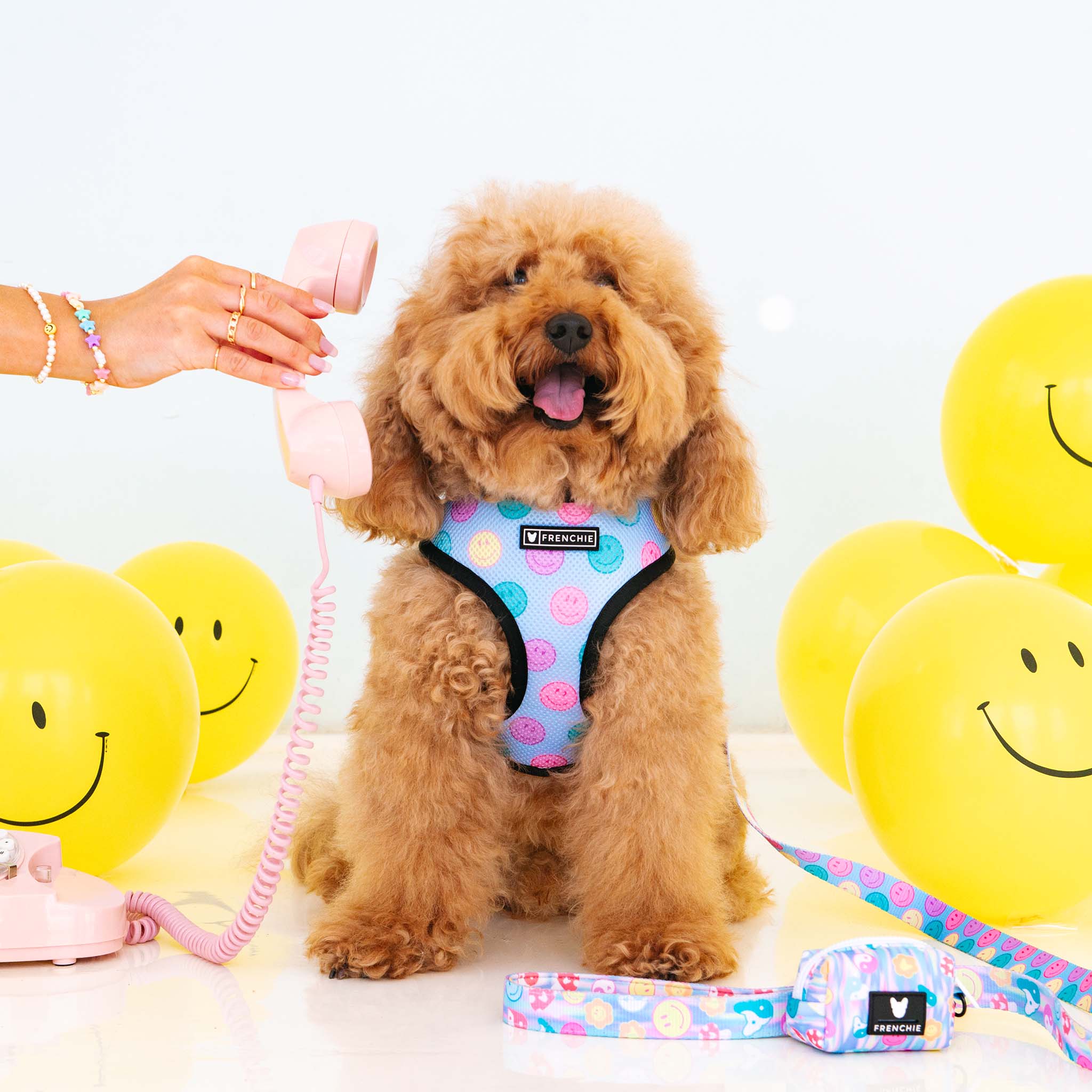 Frenchie Duo Reversible Harness - Good Vibes - Image 8