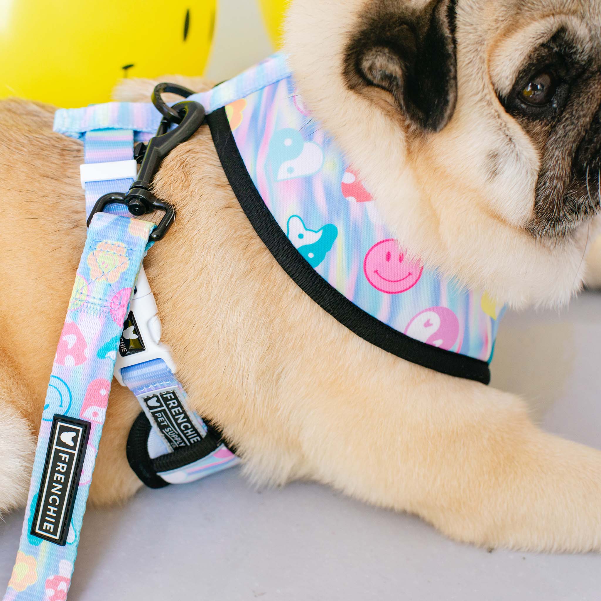 Frenchie Duo Reversible Harness - Good Vibes - Image 9