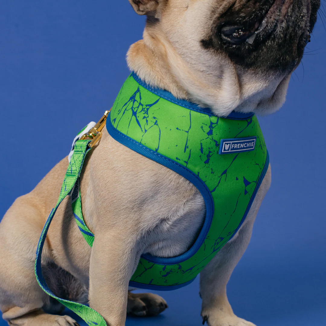 Frenchie Duo Reversible Harness - Green Marble - Image 10