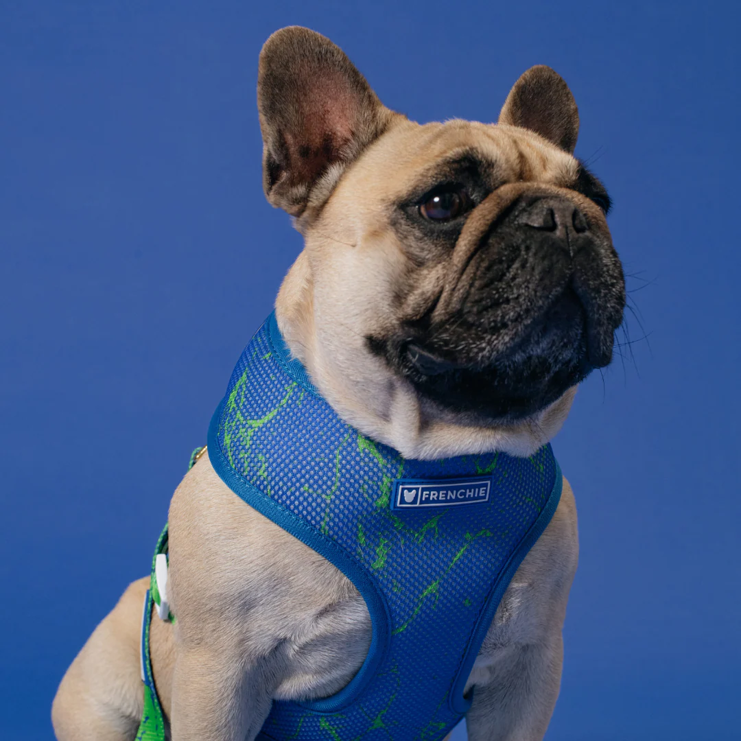 Frenchie Duo Reversible Harness - Green Marble - Image 3