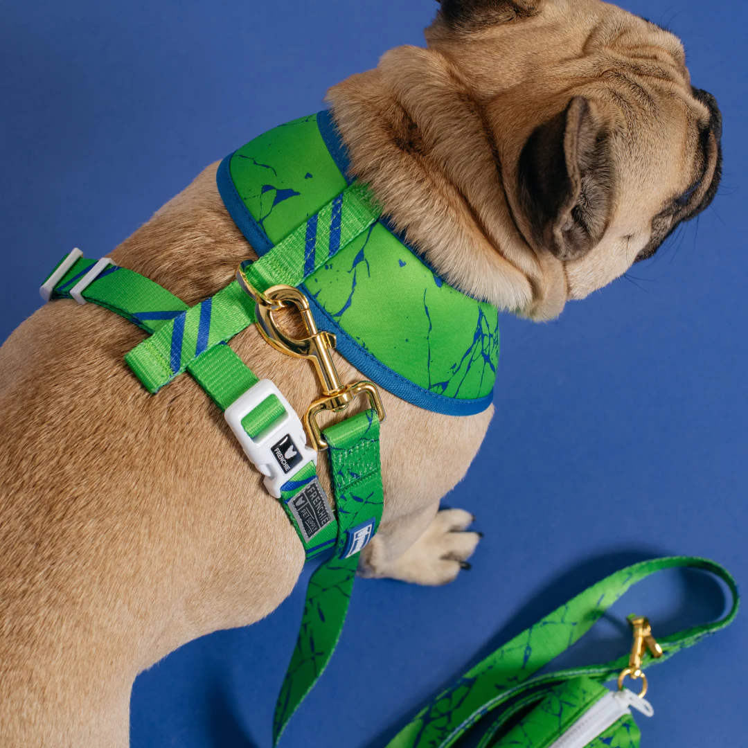 Frenchie Duo Reversible Harness - Green Marble - Image 4