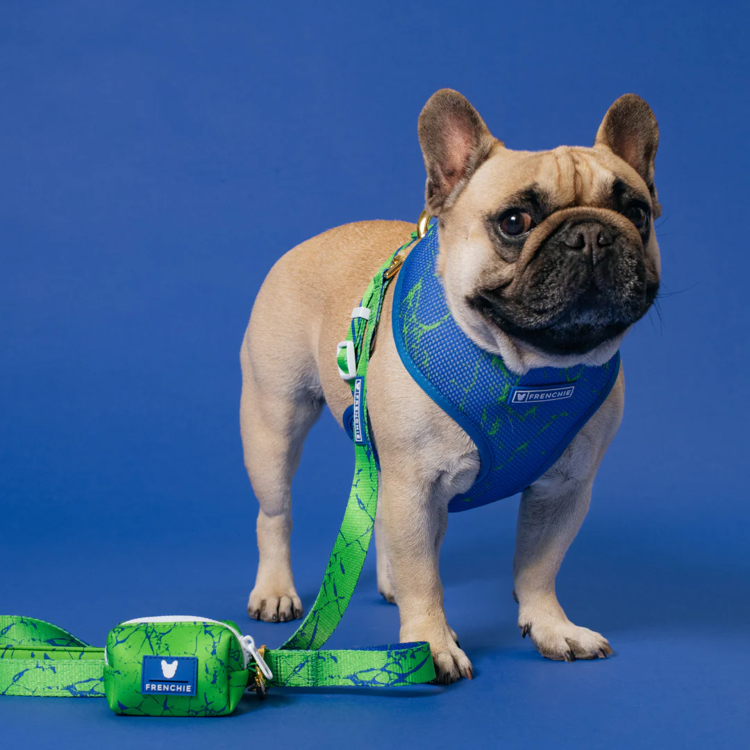 Frenchie Duo Reversible Harness - Green Marble - Image 5