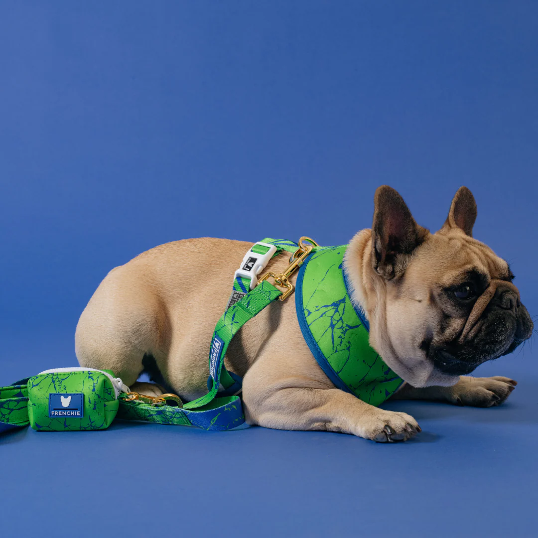 Frenchie Duo Reversible Harness - Green Marble - Image 6