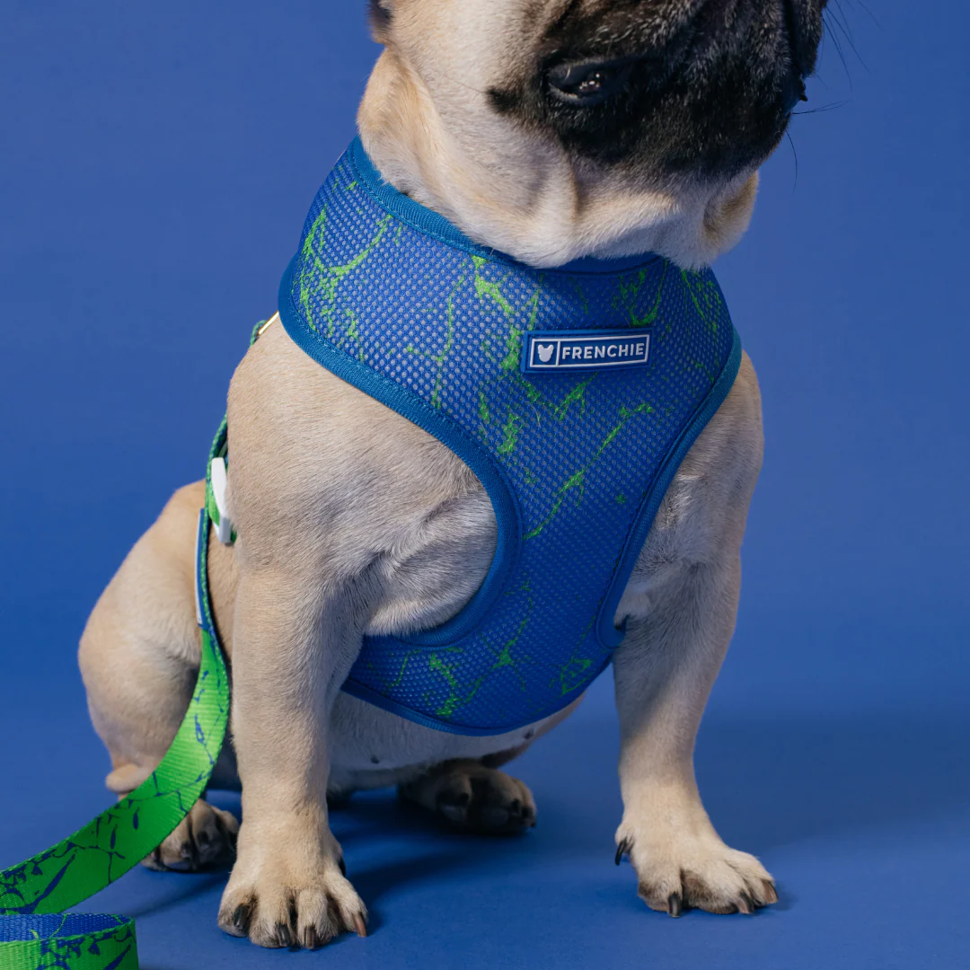 Frenchie Duo Reversible Harness - Green Marble - Image 7