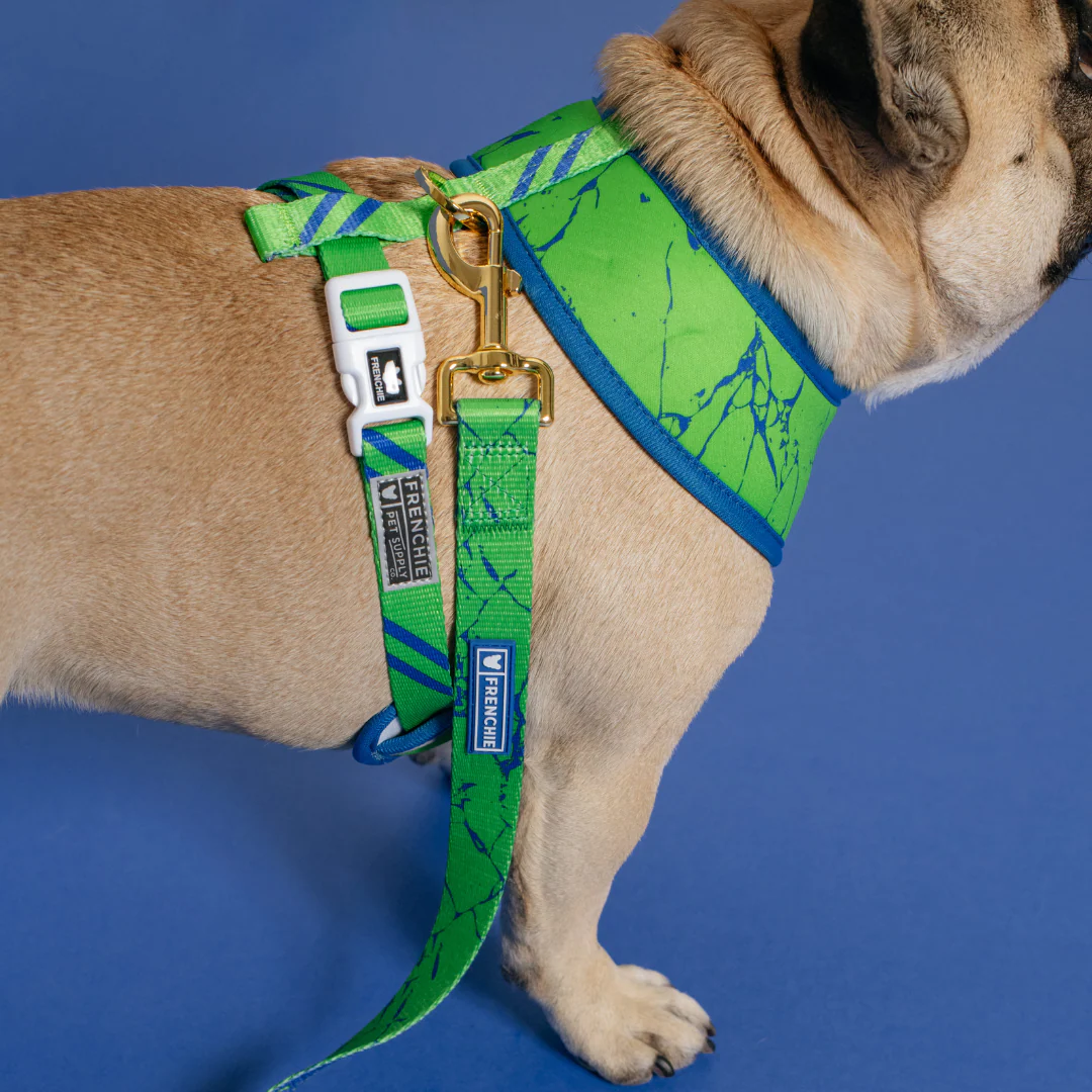 Frenchie Duo Reversible Harness - Green Marble - Image 8