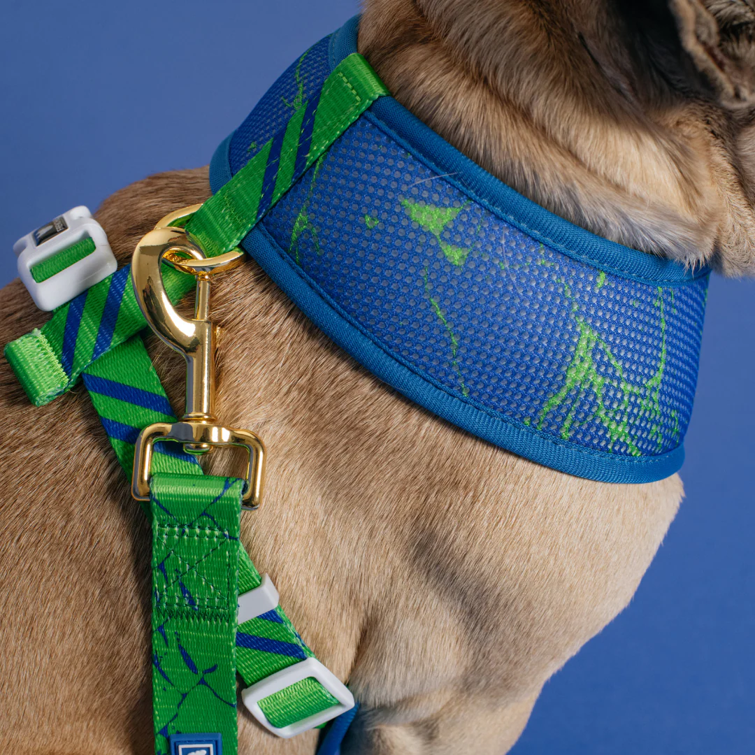 Frenchie Duo Reversible Harness - Green Marble - Image 9