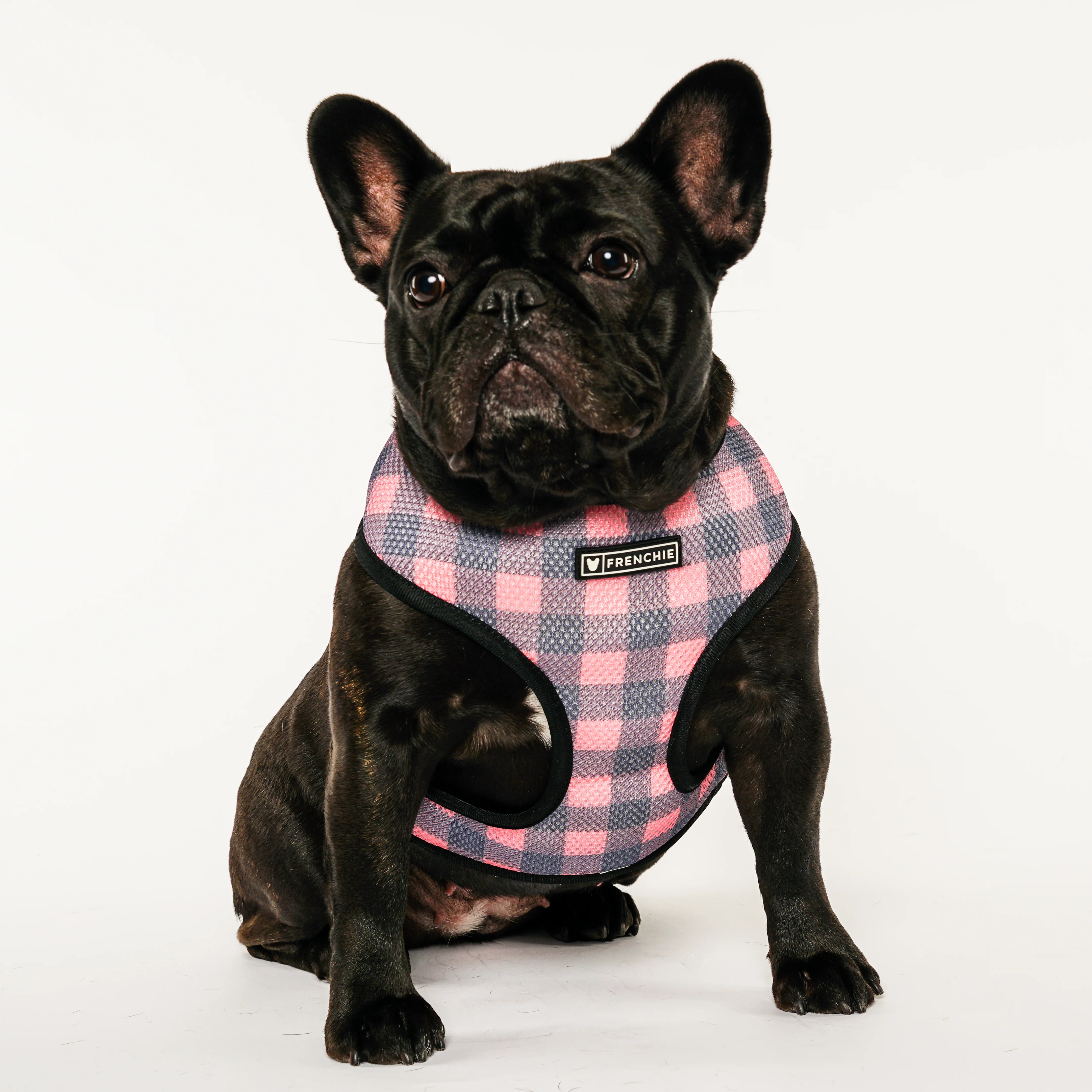 Frenchie Duo Reversible Harness - Highlander Plaid - Image 3