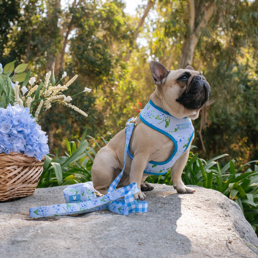 Frenchie Duo Reversible Harness - Hydrangea - Image 2