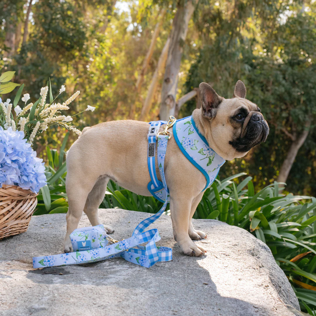 Frenchie Duo Reversible Harness - Hydrangea - Image 5