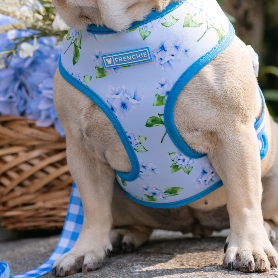 Frenchie Duo Reversible Harness - Hydrangea - Image 6
