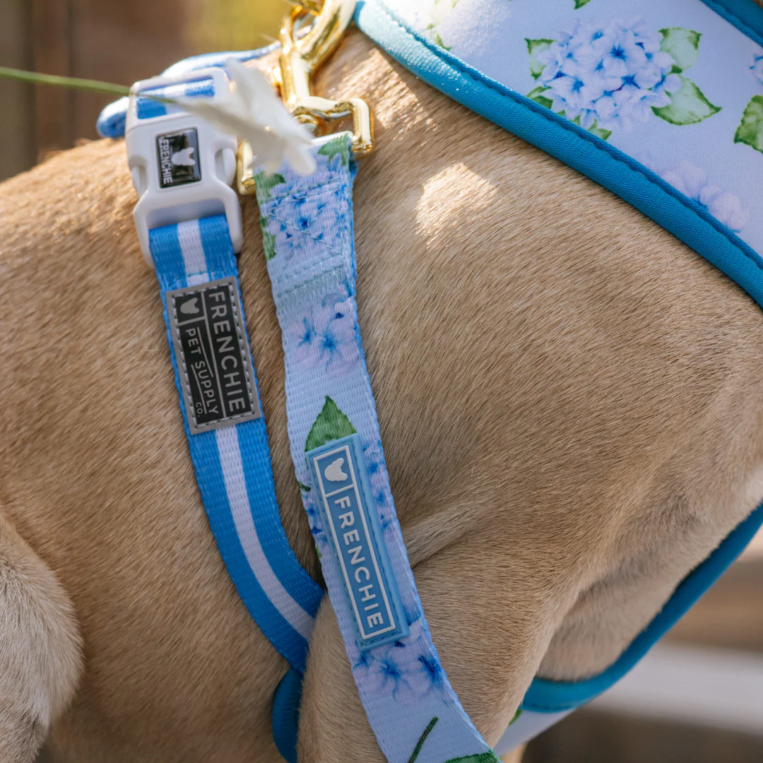 Frenchie Duo Reversible Harness - Hydrangea - Image 8