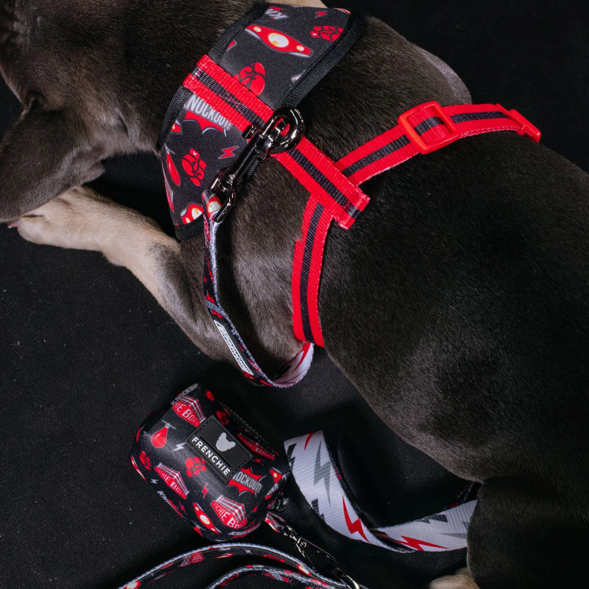 Frenchie Duo Reversible Harness - Knockout - Image 12